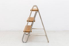 Little Library Ladder