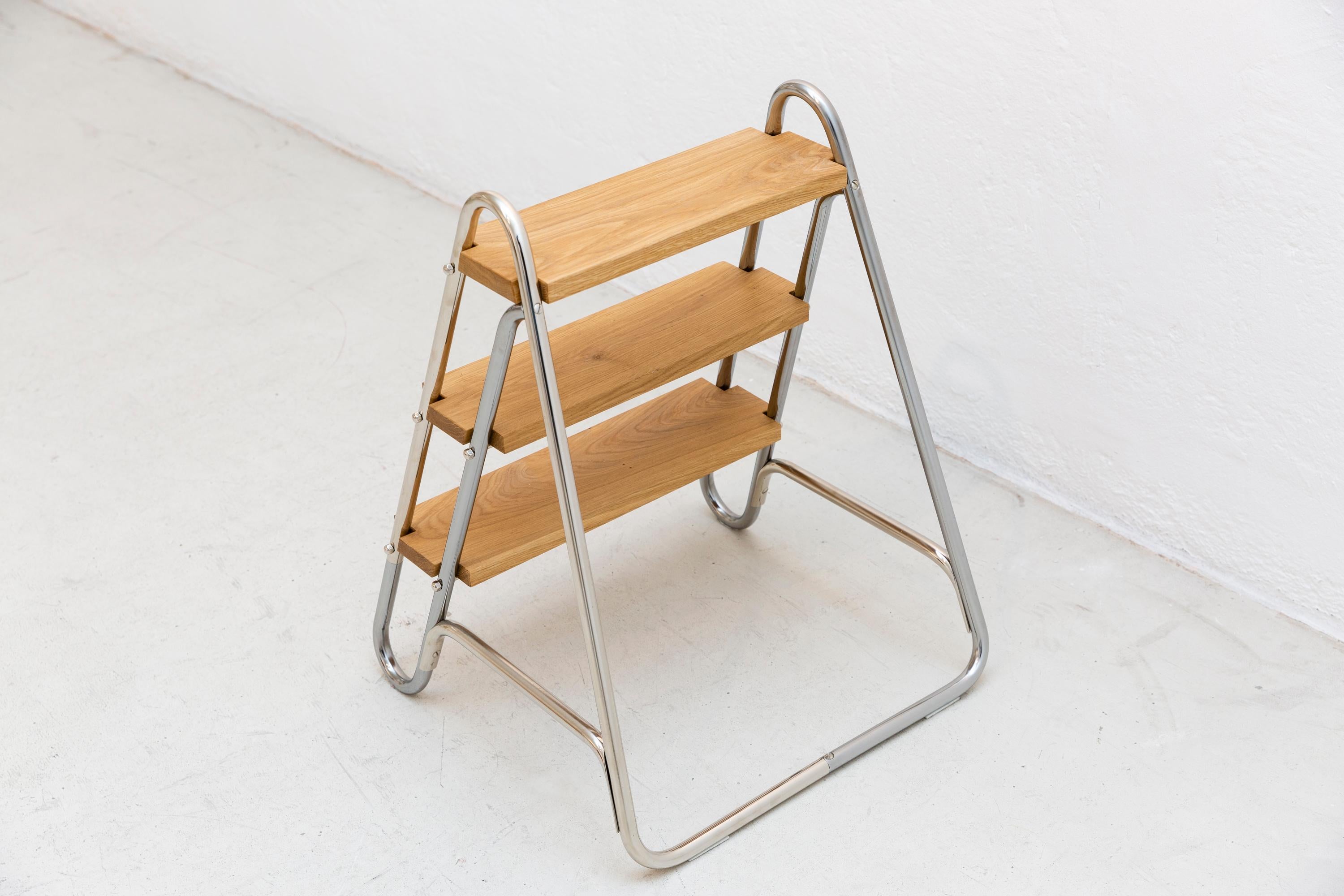 German Little Library Ladder For Sale