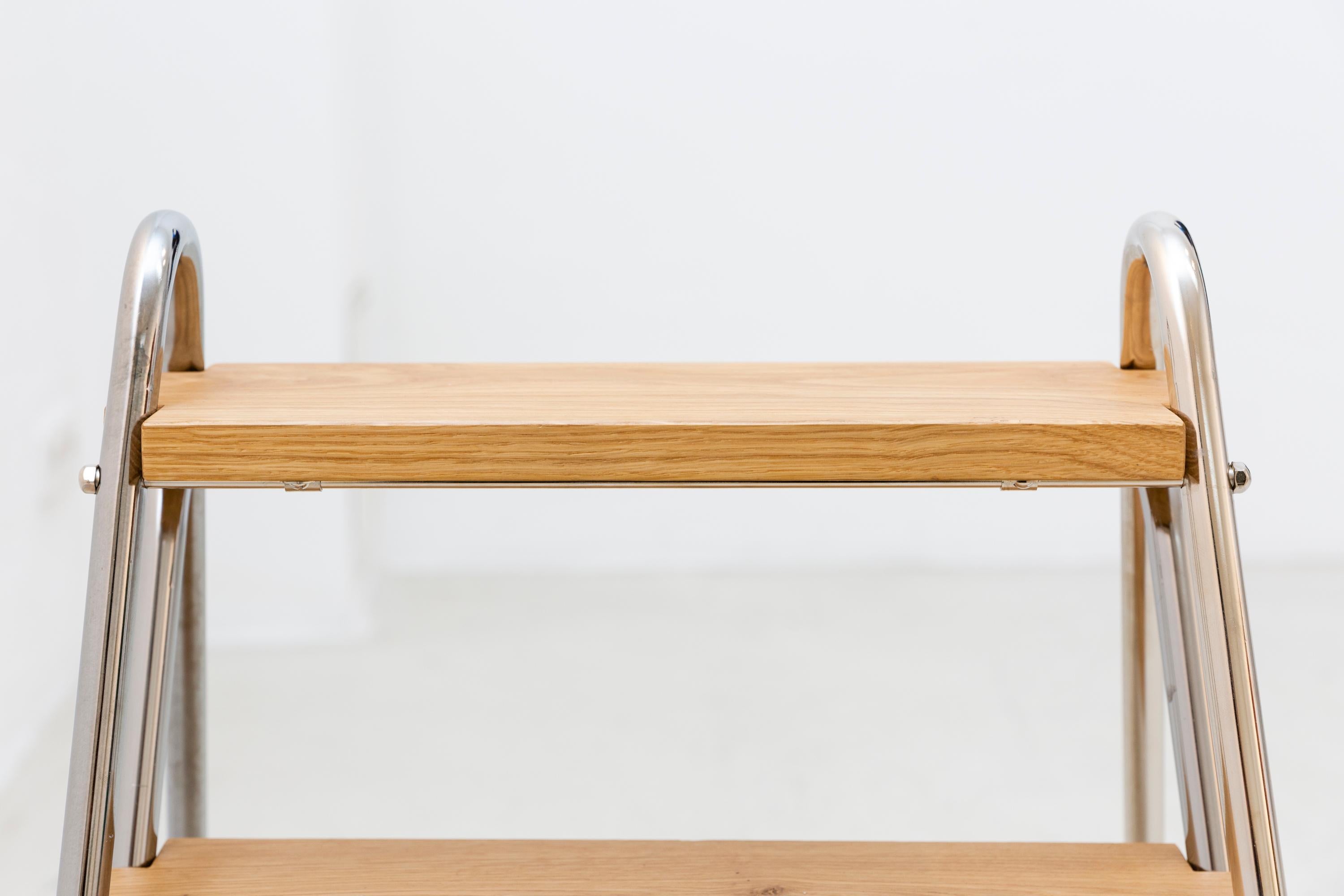Contemporary Little Library Ladder For Sale