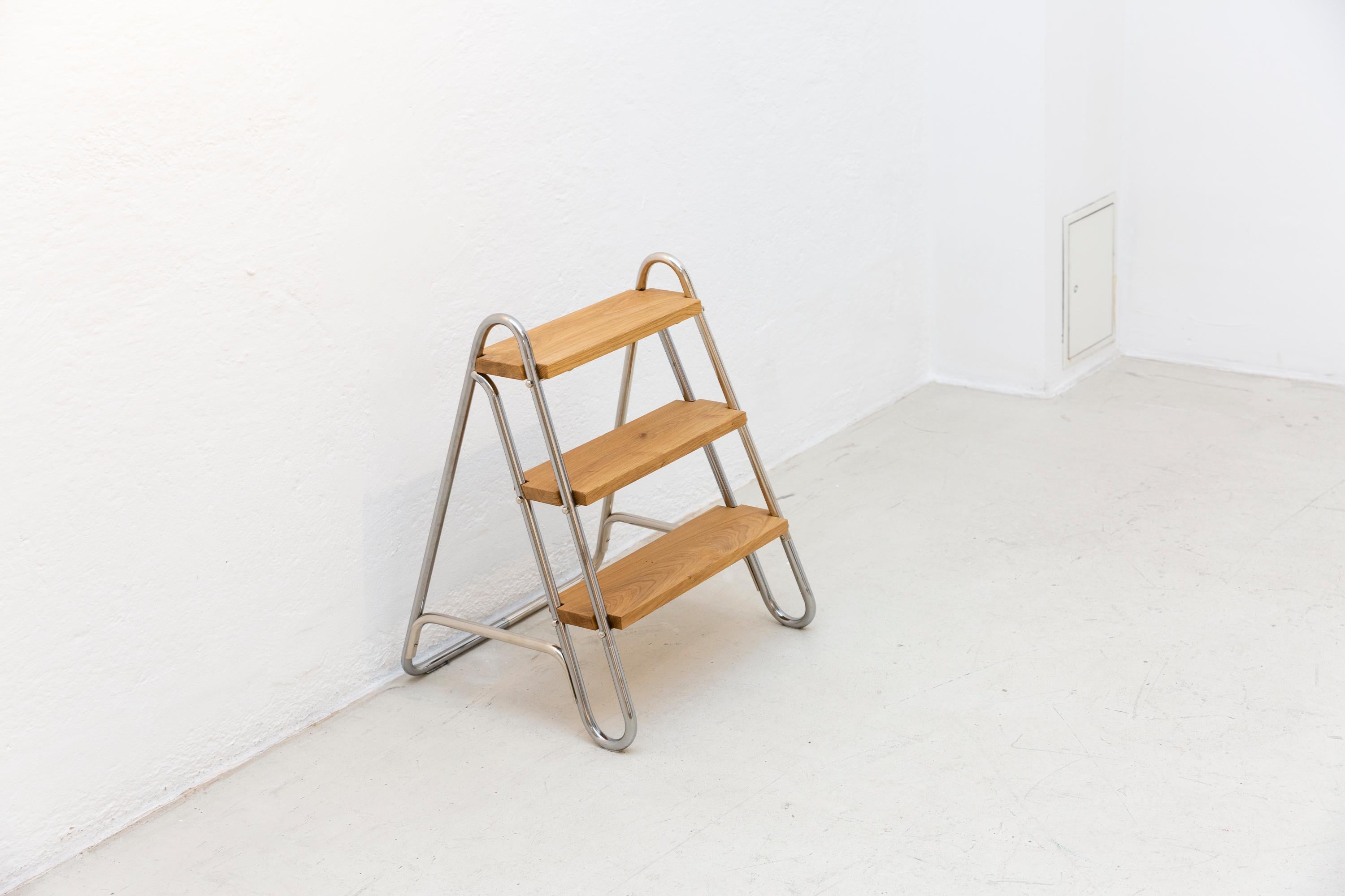 Little Library Ladder For Sale 1