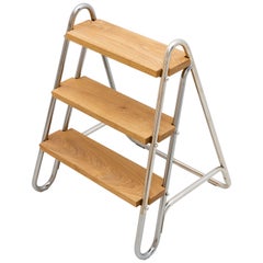 Little Library Ladder
