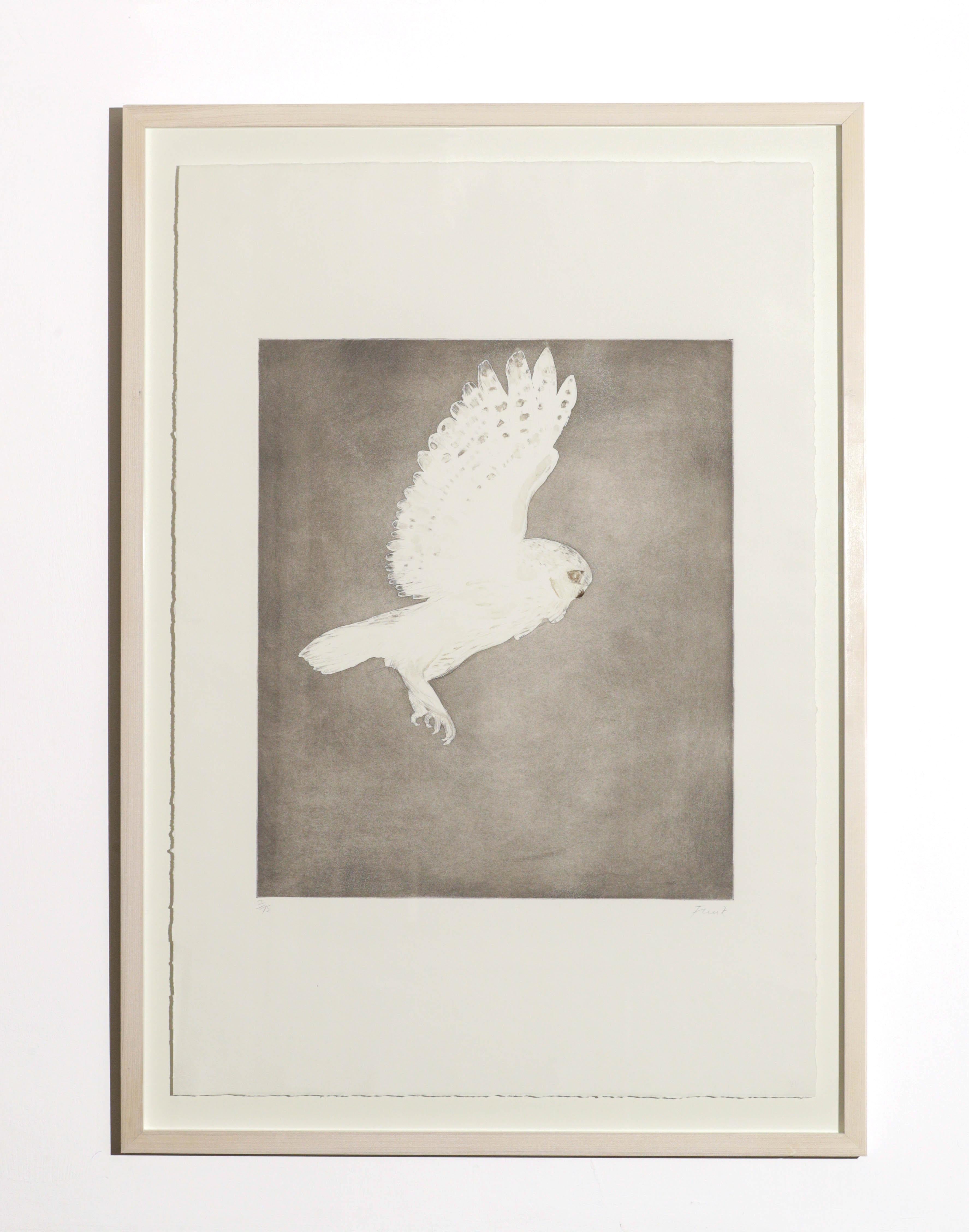 From 'Six Owl Series' conceived in 1977 by Dame Elizabeth Frink. Etching with aquatint in colors, on wove paper, signed, FRINK, lower right, and numbered 2 from the edition of 75 in pencil, lower left, printed at White Ink Ltd., published by Leslie