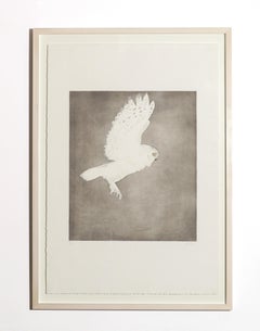 Little Owl, circa 1977, Etching with Aquatint in Colors by Dame Elizabeth Frink