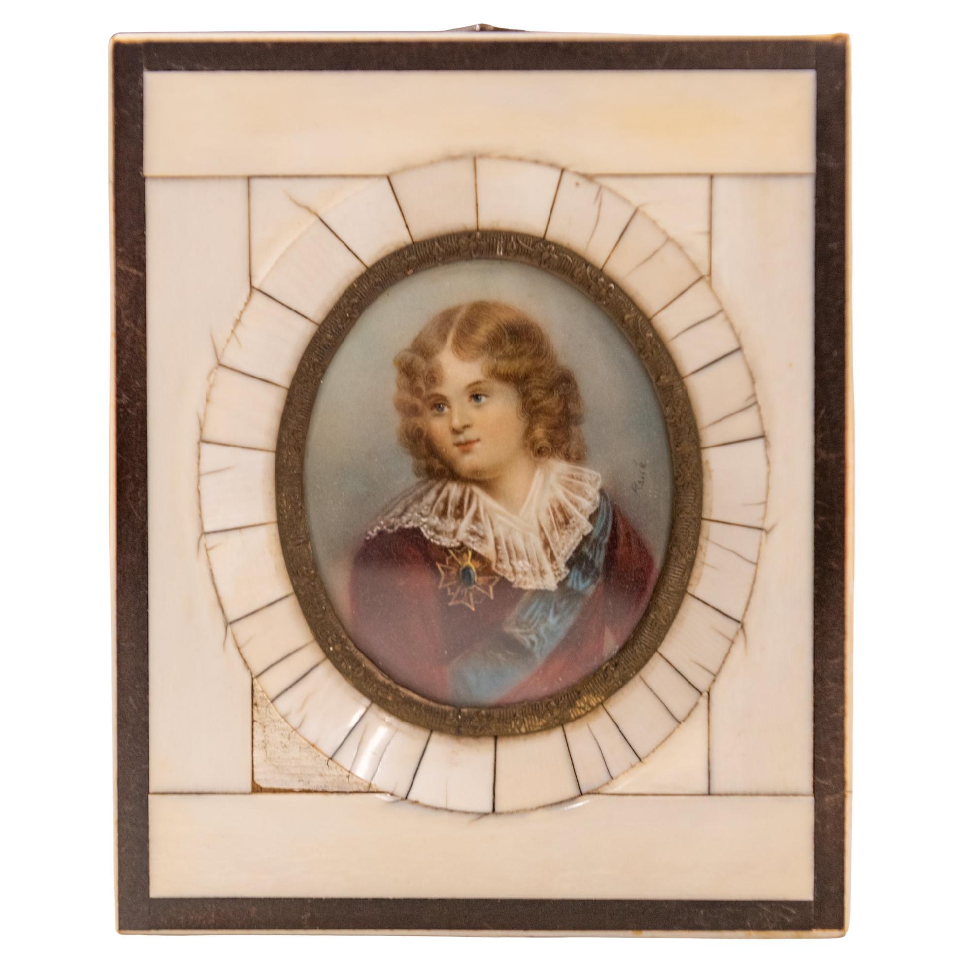 Petit portrait du dauphin