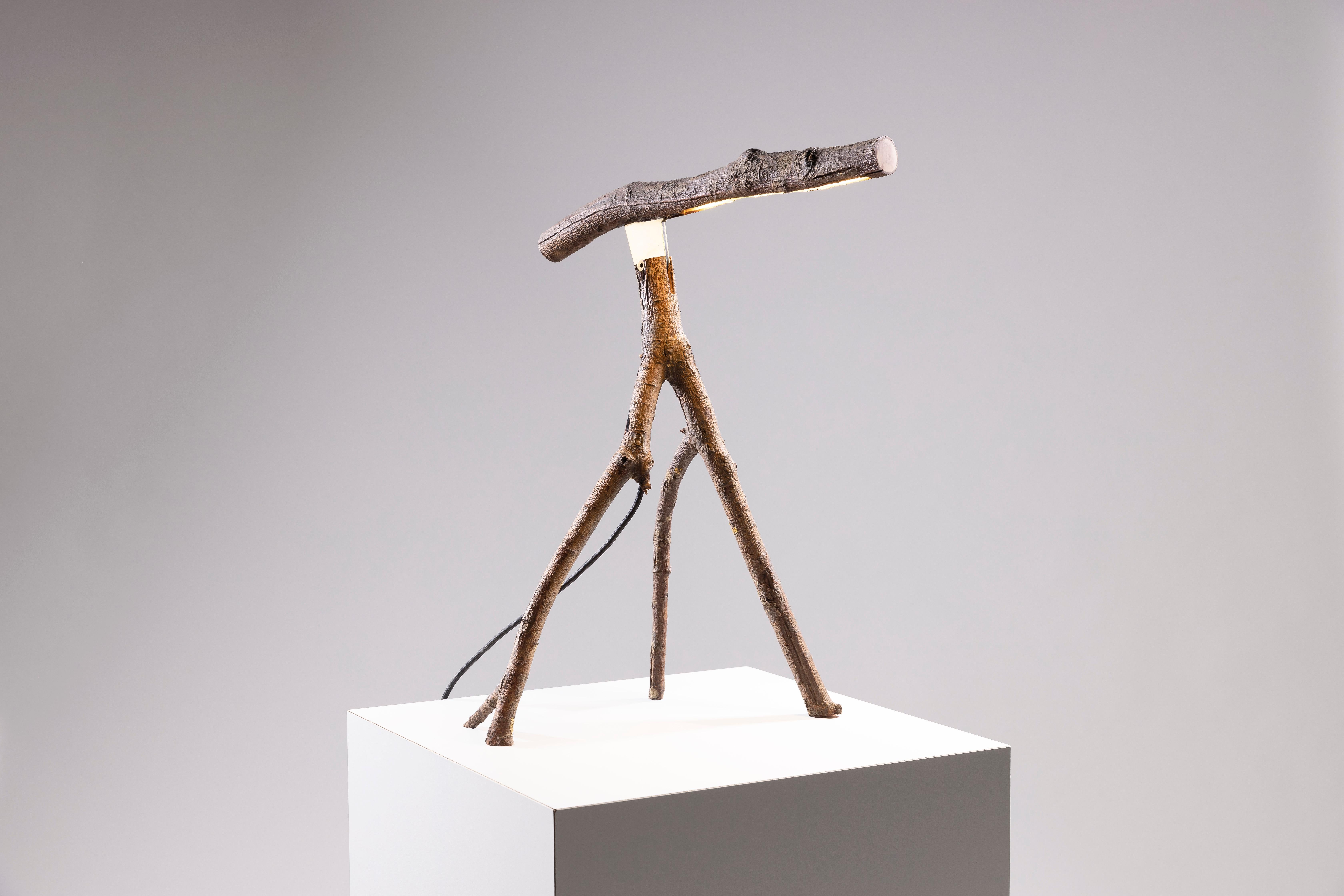 Lámpara de escritorio Little Tree Friend de Marco Iannicelli
Dimensiones: An 35-55 x L 35-55 x Al 50-70 cm
Materiales: Madera.
Peso: 4 Kg. 

Marco Iannicelli es un artista independiente del diseño de productos.
Su estudio se fundó en 2010,