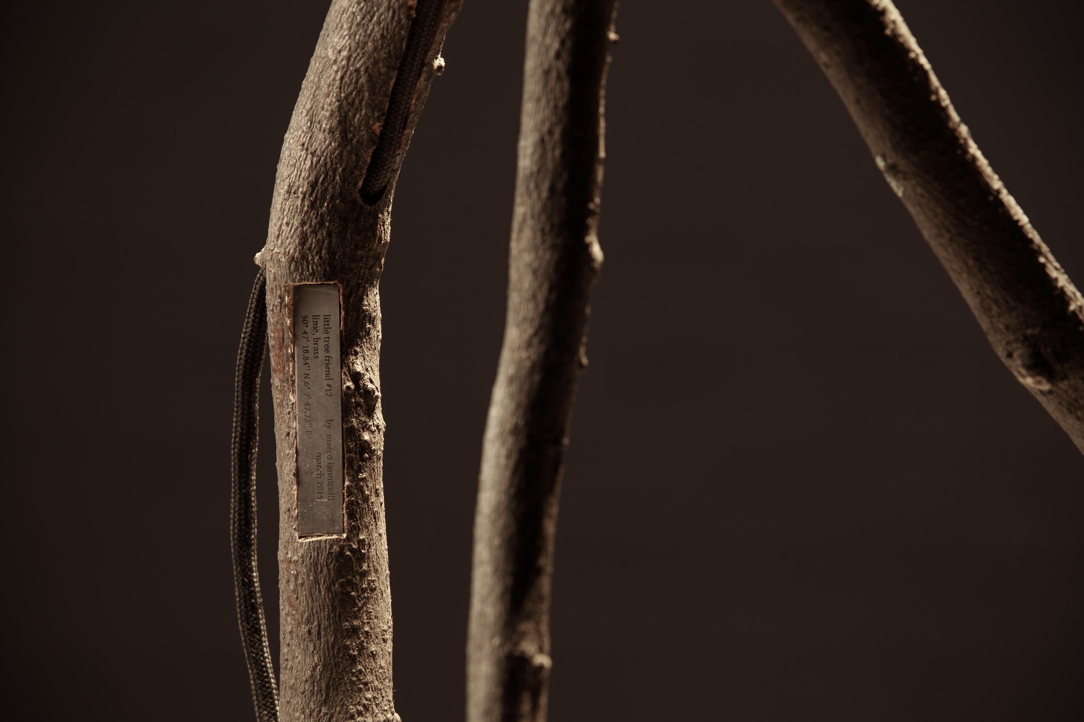 Lámpara de escritorio Little Tree Friend de Marco Iannicelli en Nuevo estado para la venta en Geneve, CH