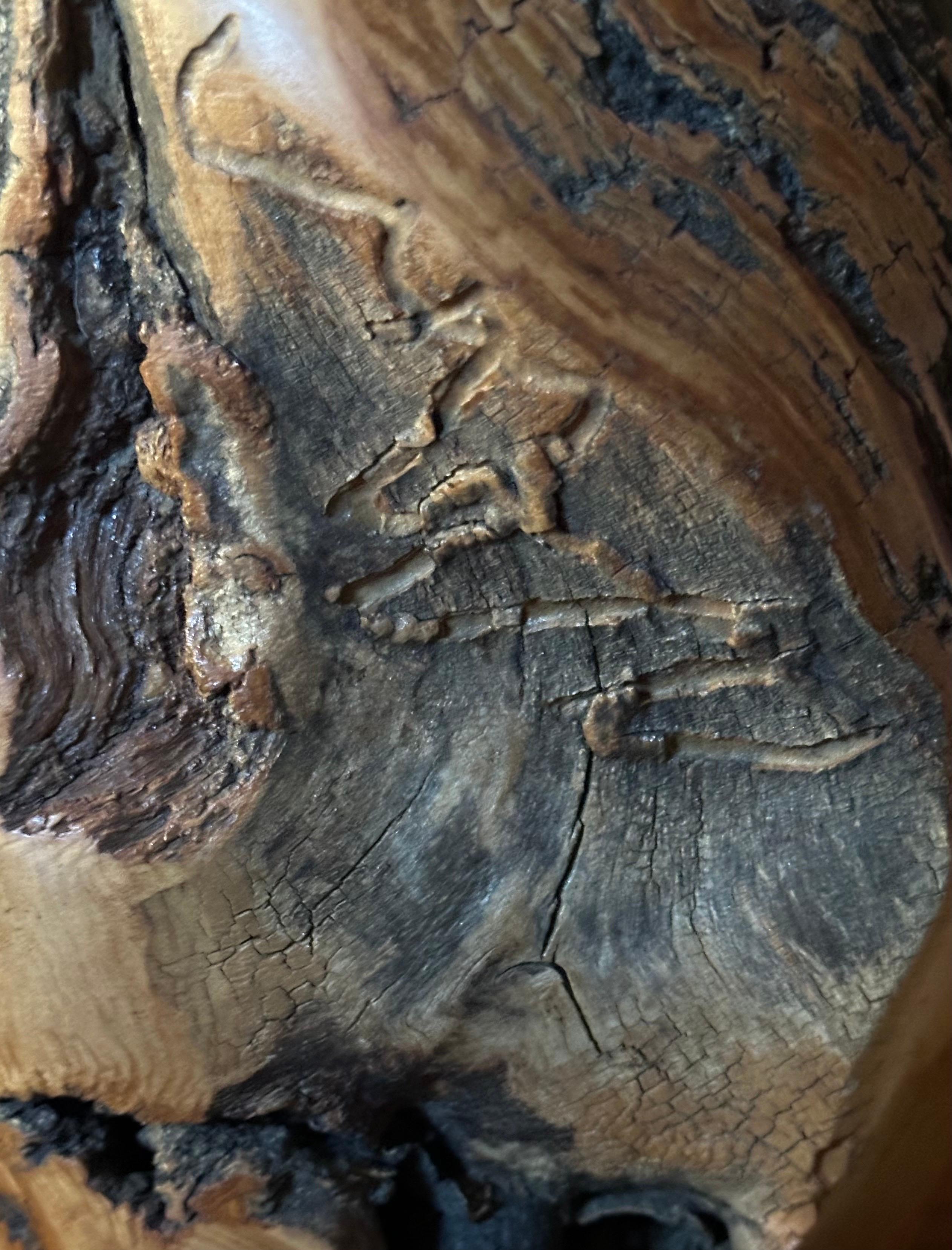 Live Edge Aspen Burl Wood Vase 5