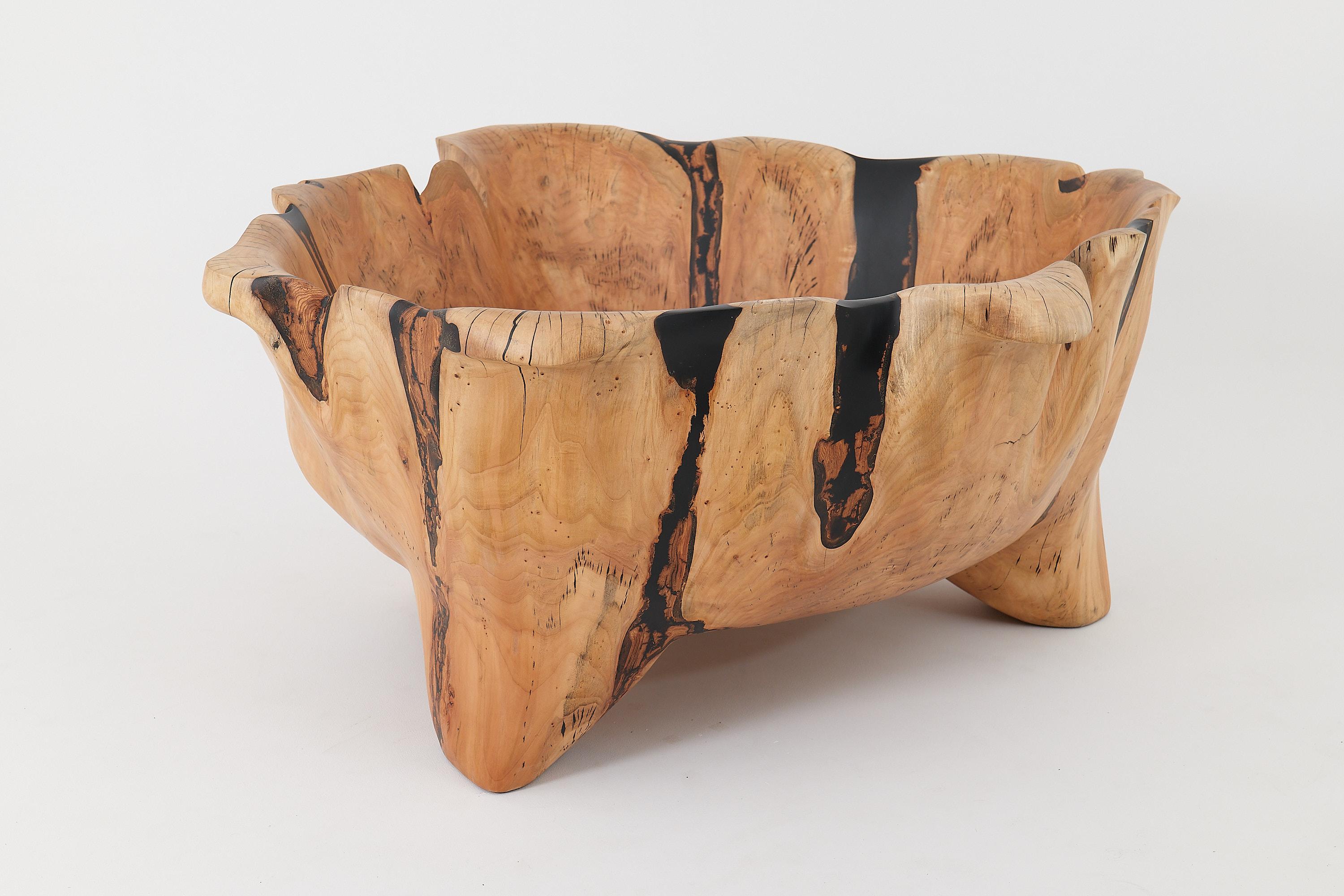 Live Edge Bathtub Carved from Single Piece of Wood, Fully Functional, Logniture For Sale 5