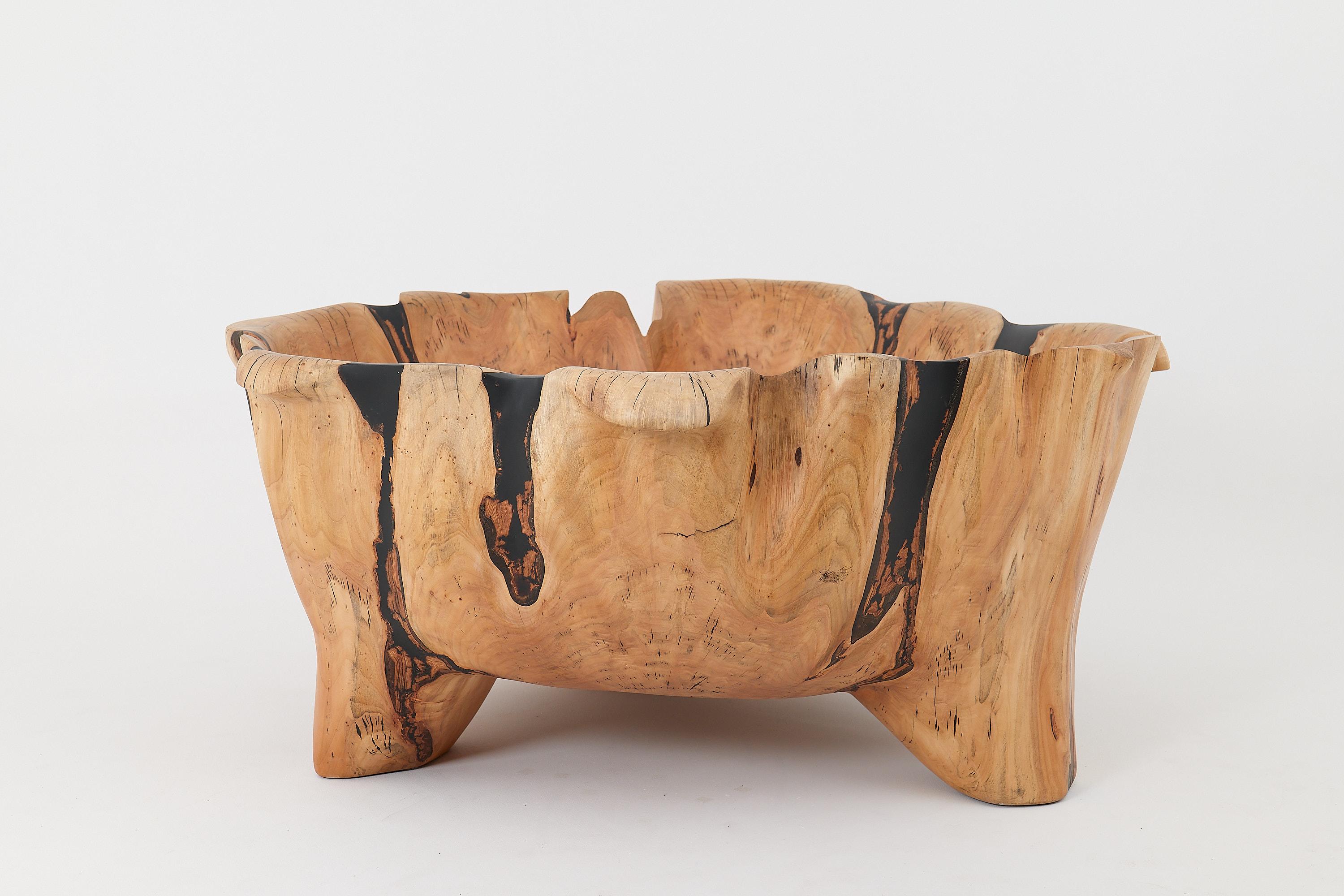 Live Edge Bathtub Carved from Single Piece of Wood, Fully Functional, Logniture For Sale 6