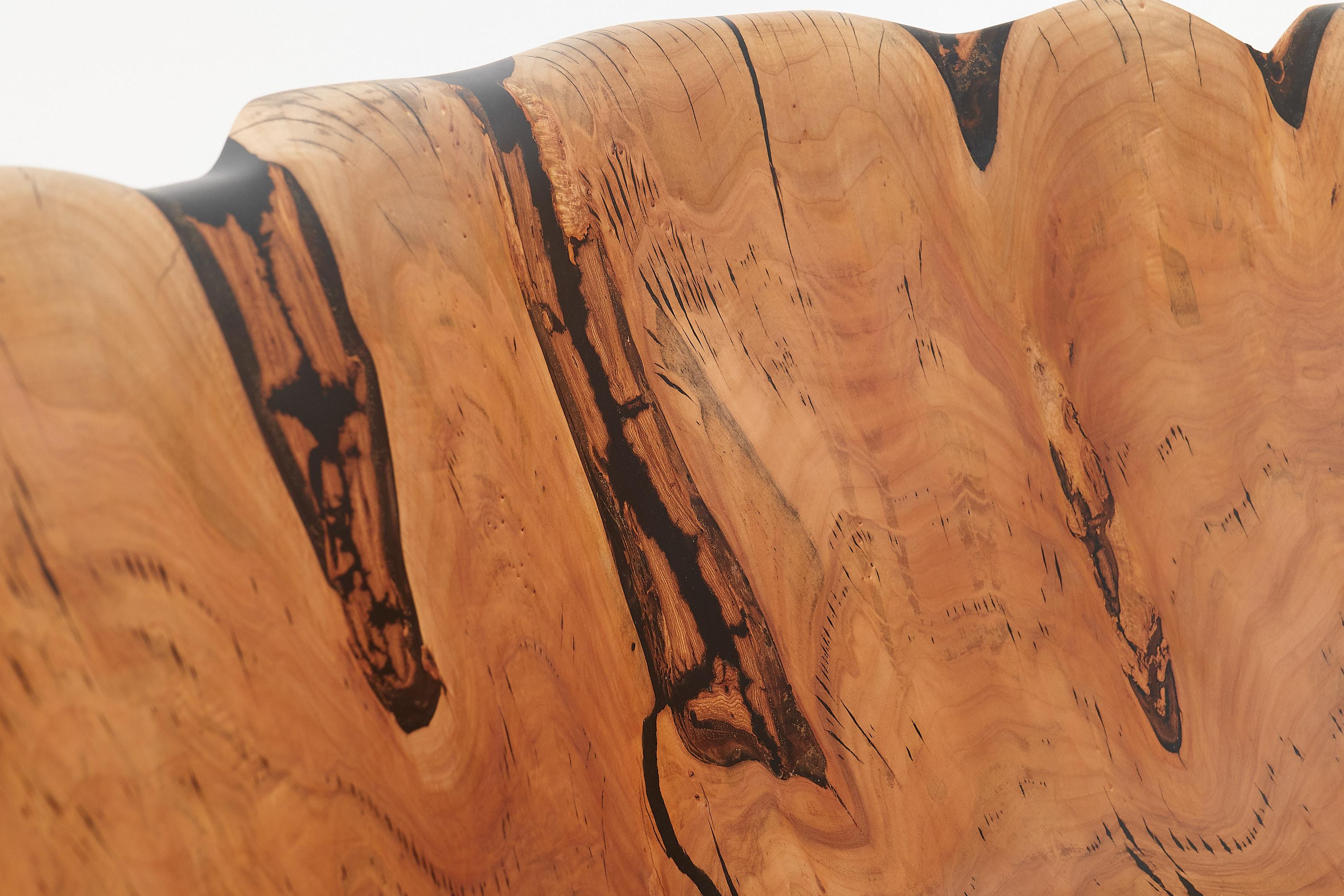 Live Edge Bathtub Carved from Single Piece of Wood, Fully Functional, Logniture For Sale 8
