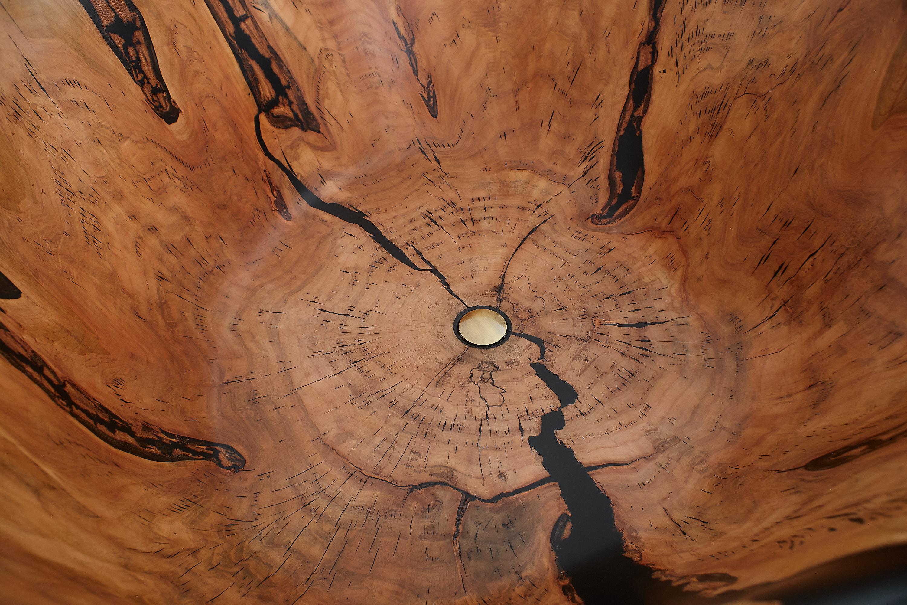 Live Edge Bathtub Carved from Single Piece of Wood, Fully Functional, Logniture For Sale 13