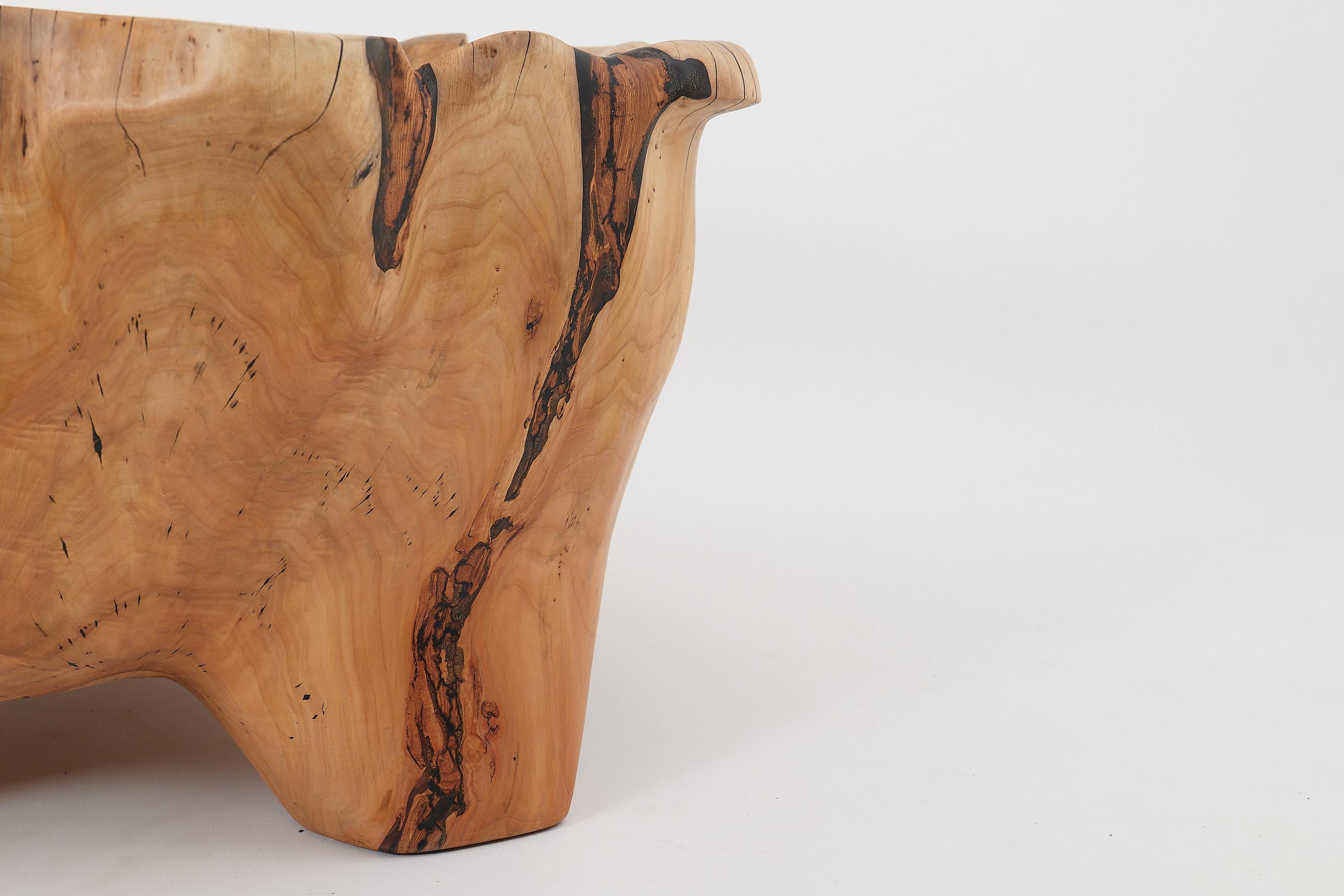 Live Edge Bathtub Carved from Single Piece of Wood, Fully Functional, Logniture For Sale 2