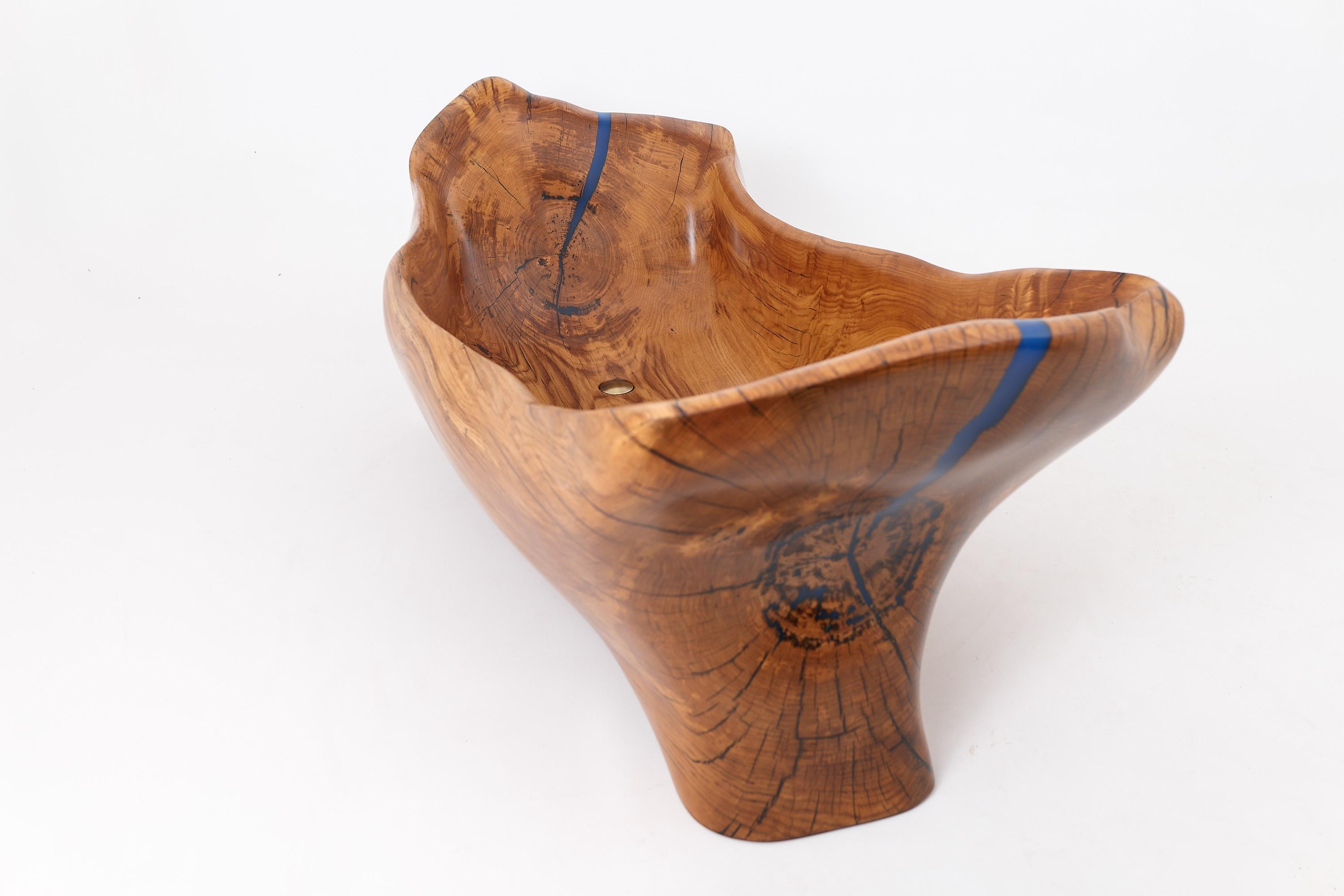 Live Edge Bathtub Carved from Single Piece of Wood, Fully Functional, Logniture For Sale 2