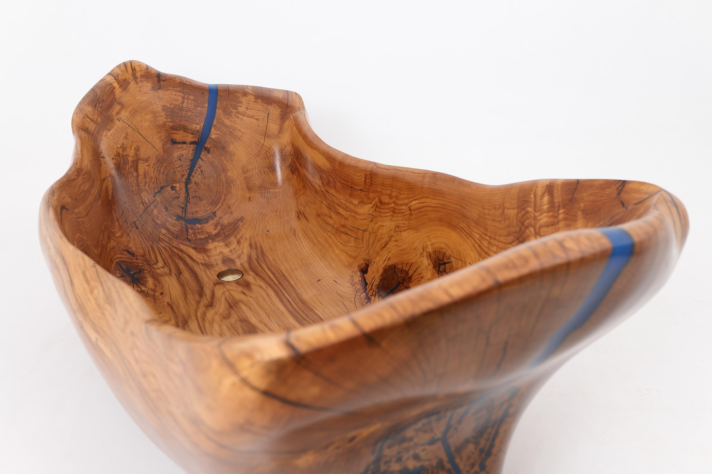 Live Edge Bathtub Carved from Single Piece of Wood, Fully Functional, Logniture For Sale 3