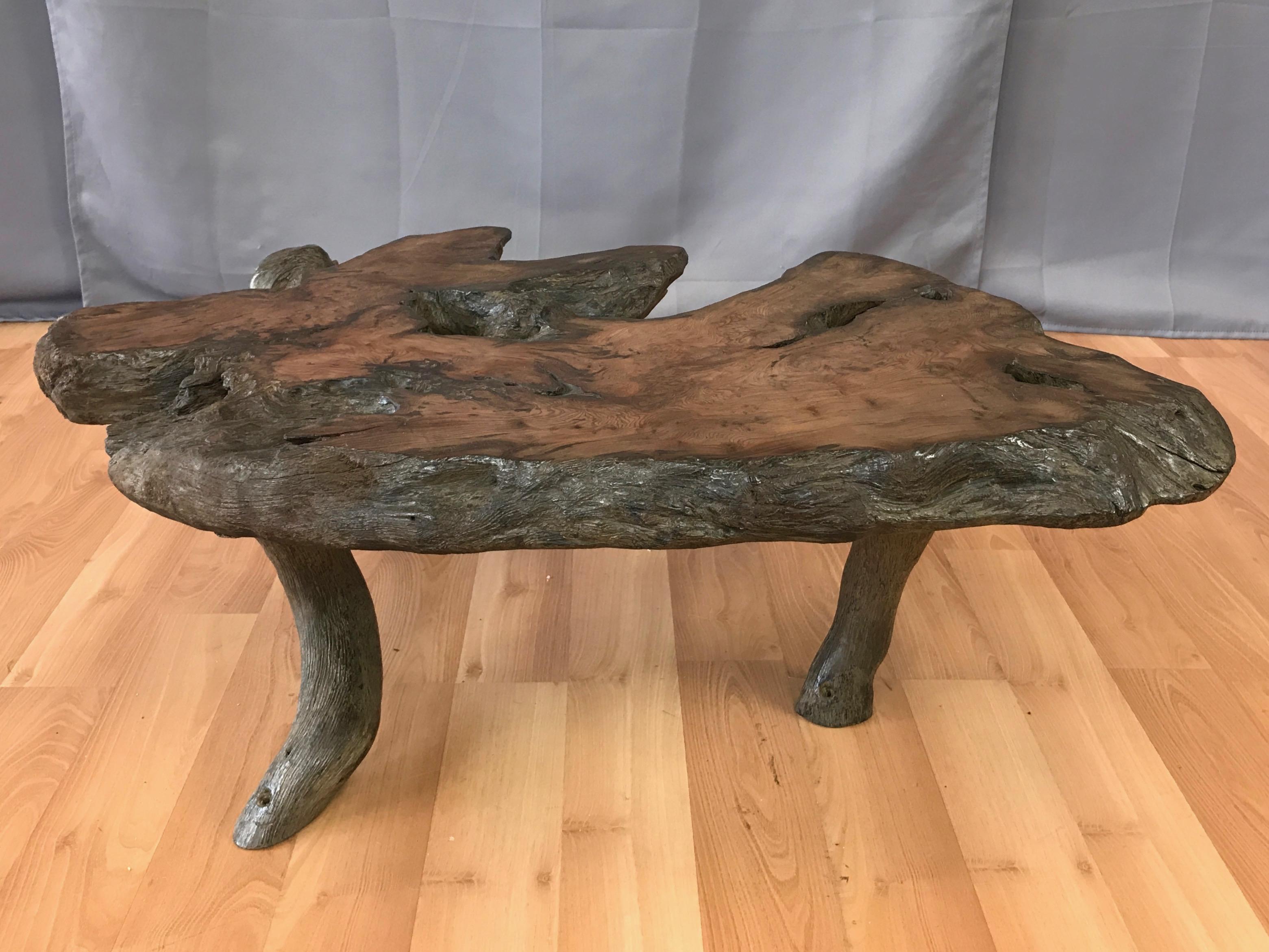 A live edge black walnut burl small coffee table or side table with tree limb legs, circa 1960s.

Irregularly shaped 2.25 inch-thick slab top displays great natural character, with chaotic grain patterns, marks, and a number of fissures and holes.
