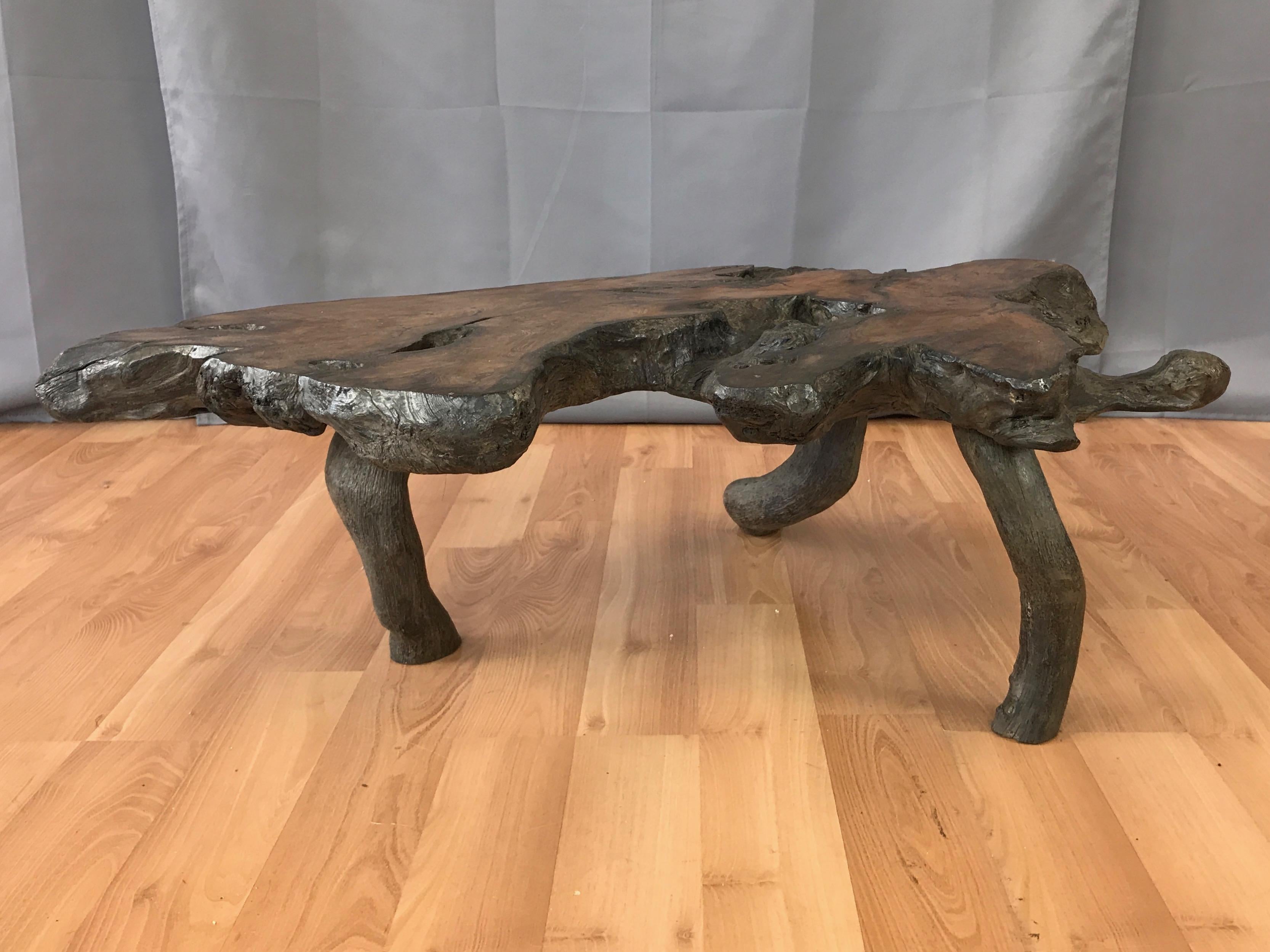 American Live Edge Black Walnut Burl Coffee Table, 1960s