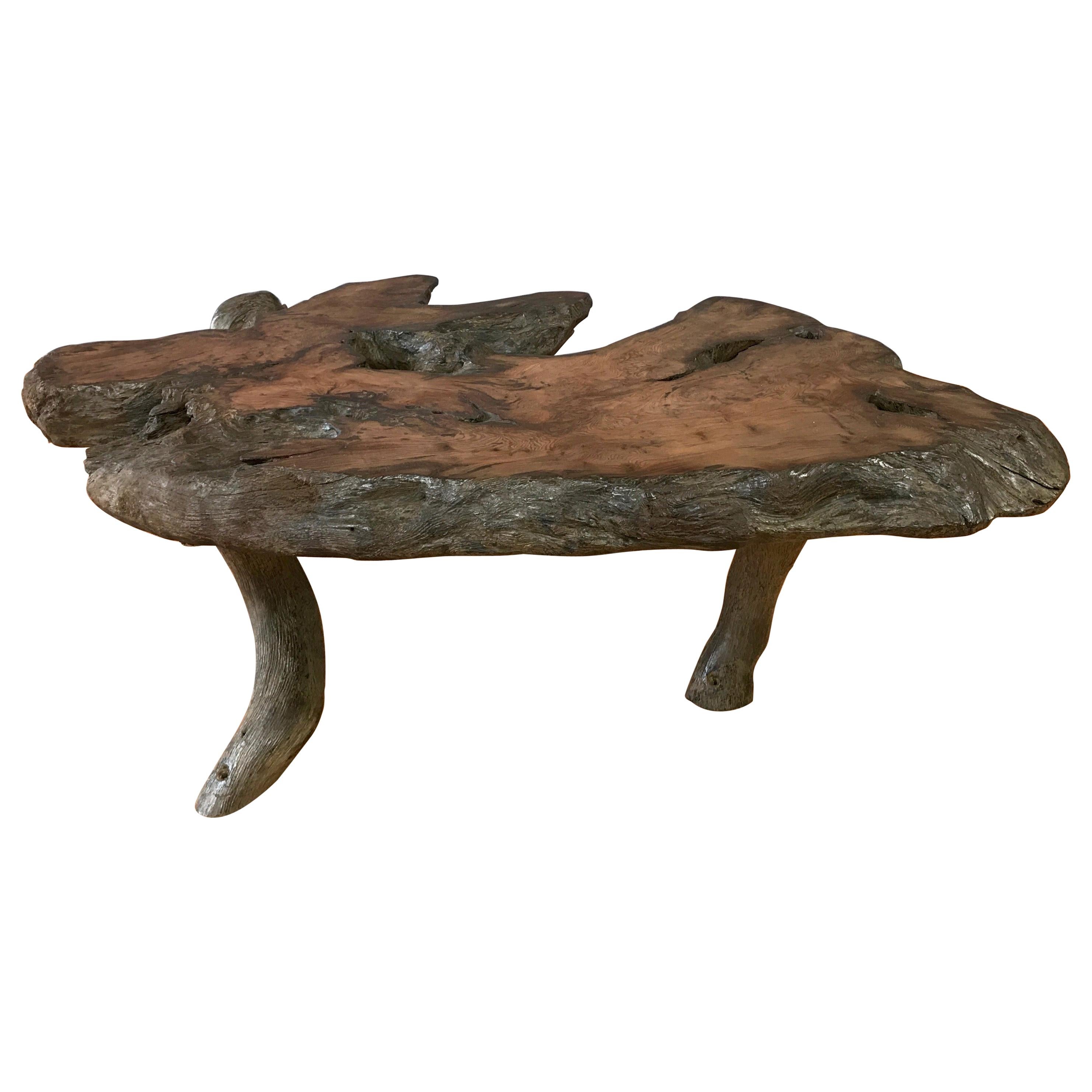 Live Edge Black Walnut Burl Coffee Table, 1960s