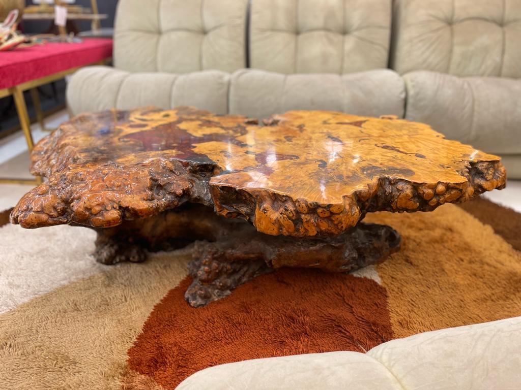 Fantastic example of a live edge burl-wood coffee table. Natural tree stump base with authentic moss detail under finish of top surface. Stunning slab of exotic burl wood used for table top. Highly detailed organic edge with natural high relief