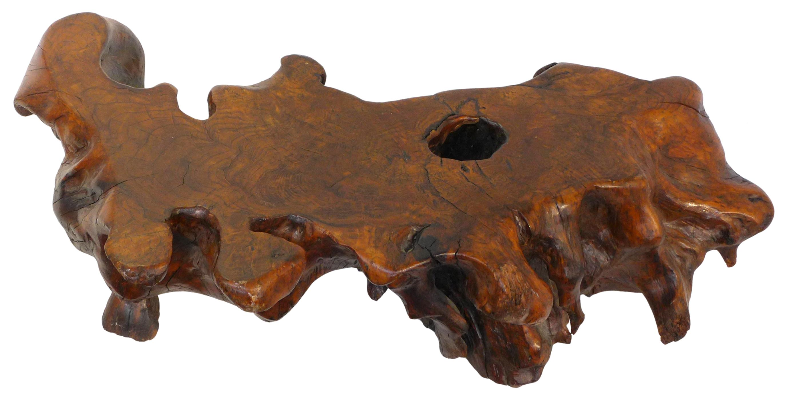 A fantastic live-edge burl root-wood coffee table. Carved nearly entirely of one wonderfully gnarled piece of wood, an extraordinary example of this family of burl furniture; an unusual, wildly-undulating, crescent tabletop with great raw edge