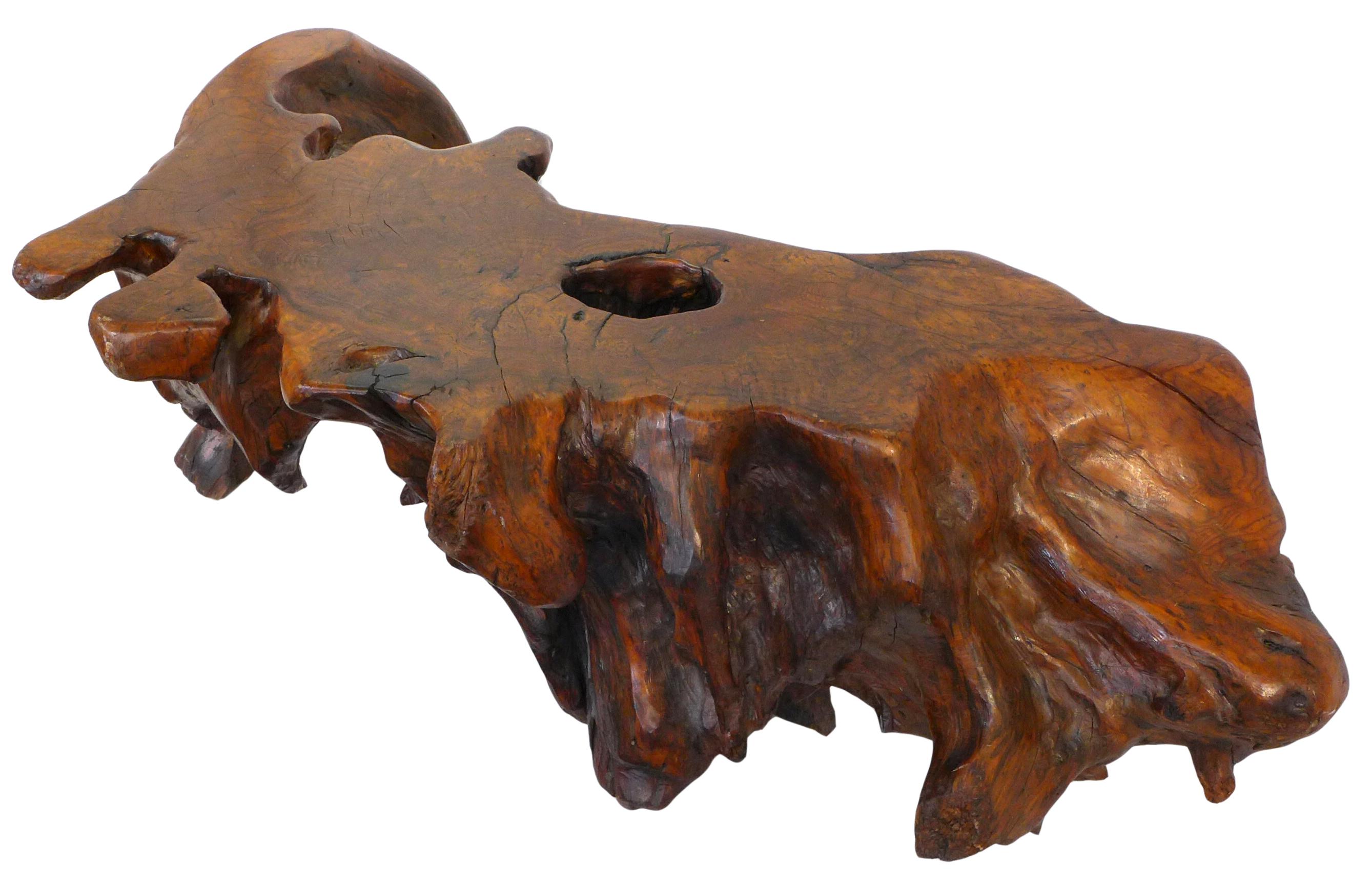 Organic Modern Live-Edge Burl Root-Wood Coffee Table For Sale