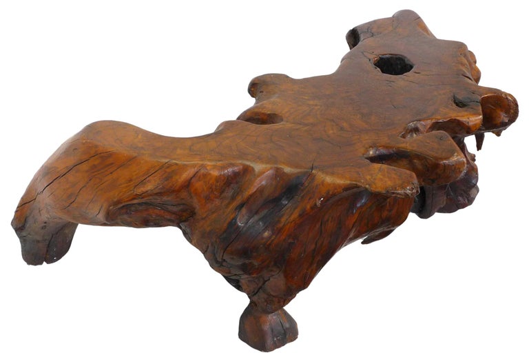 American Live-Edge Burl Root-Wood Coffee Table For Sale