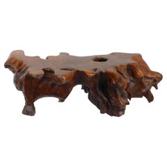 Live-Edge Burl Root-Wood Coffee Table