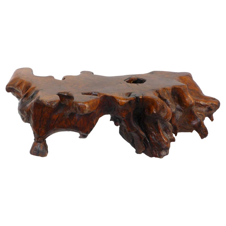 Live-Edge Burl Root-Wood Coffee Table For Sale