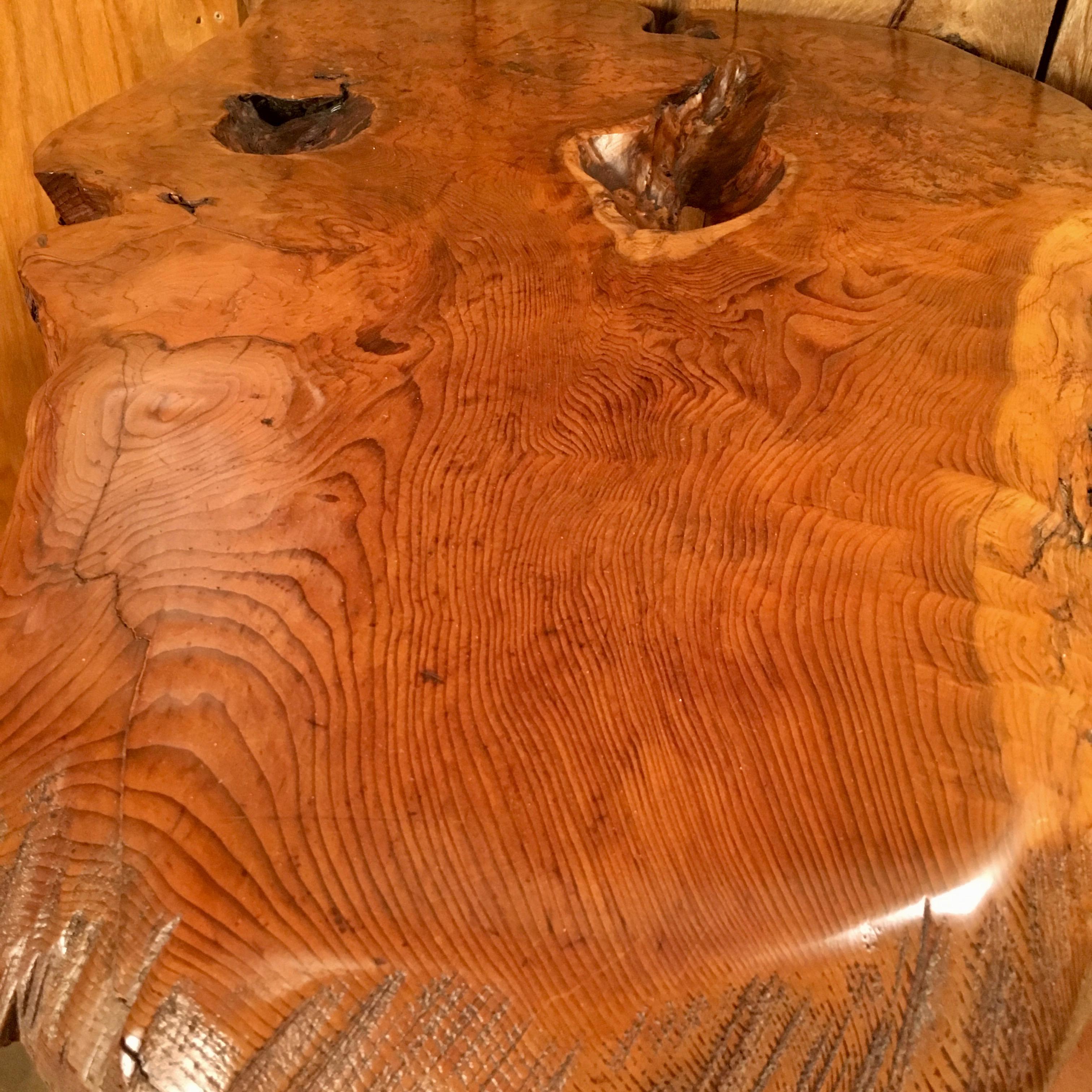 Organic Modern Live Edge Burl Wood Curved Bar