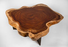 Live Edge Coffee Table in Parota Wood Tree Trunk with Brutalist Bronze Base