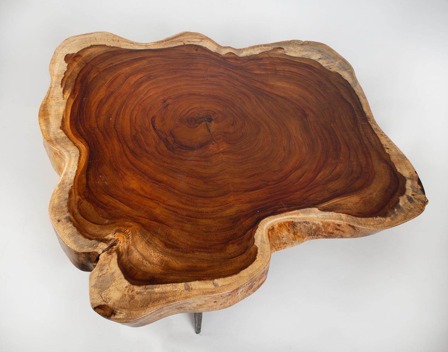 Mid-Century Modern Live Edge Coffee Table in Parota Wood Tree Trunk with Brutalist Bronze Base