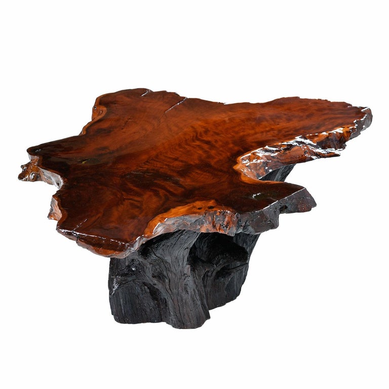 Rustic Live Edge Cypress Root Stump Slab Coffee Table at 1stdibs