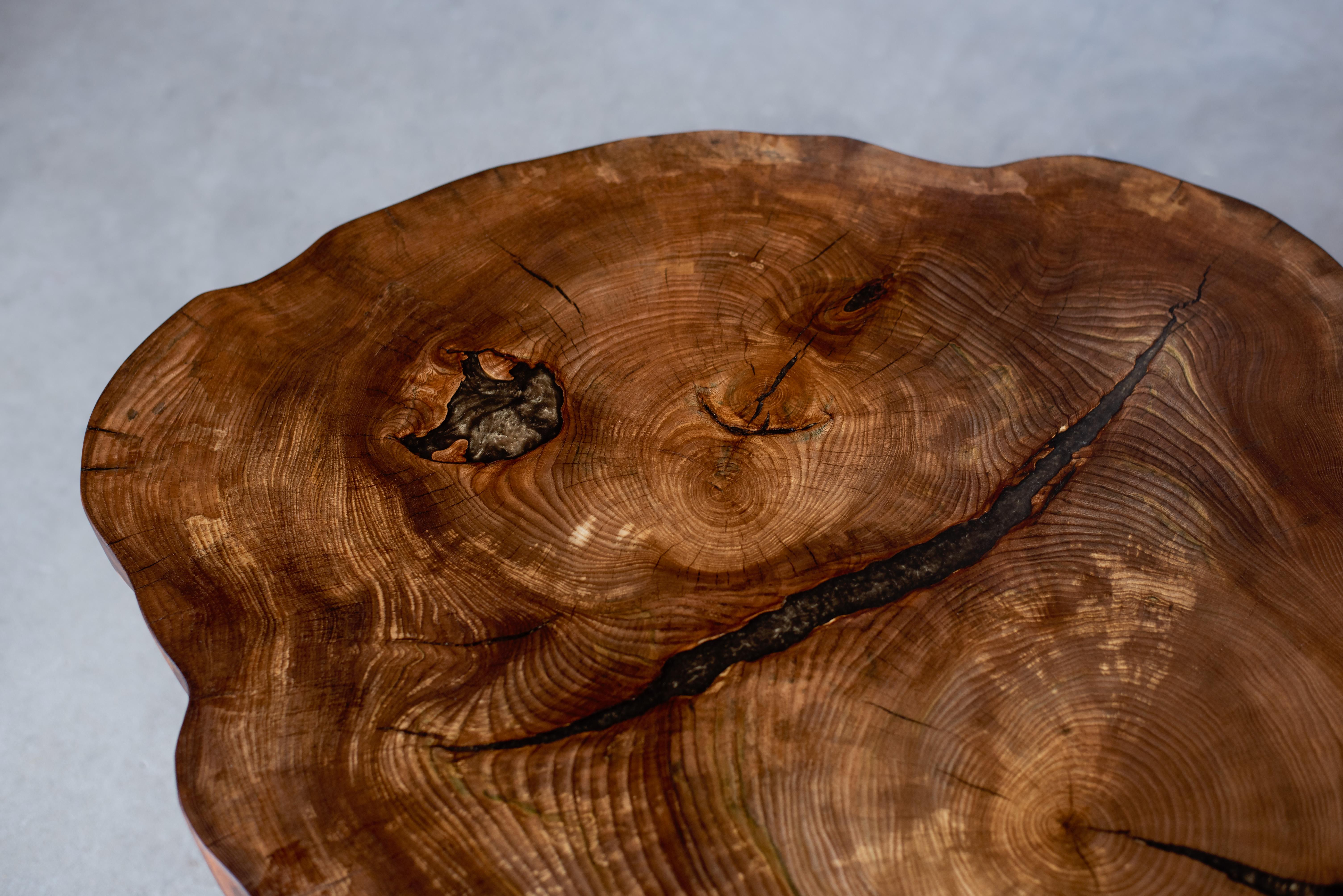 Hand-Crafted Live Edge Elm Cookie Coffee Table
