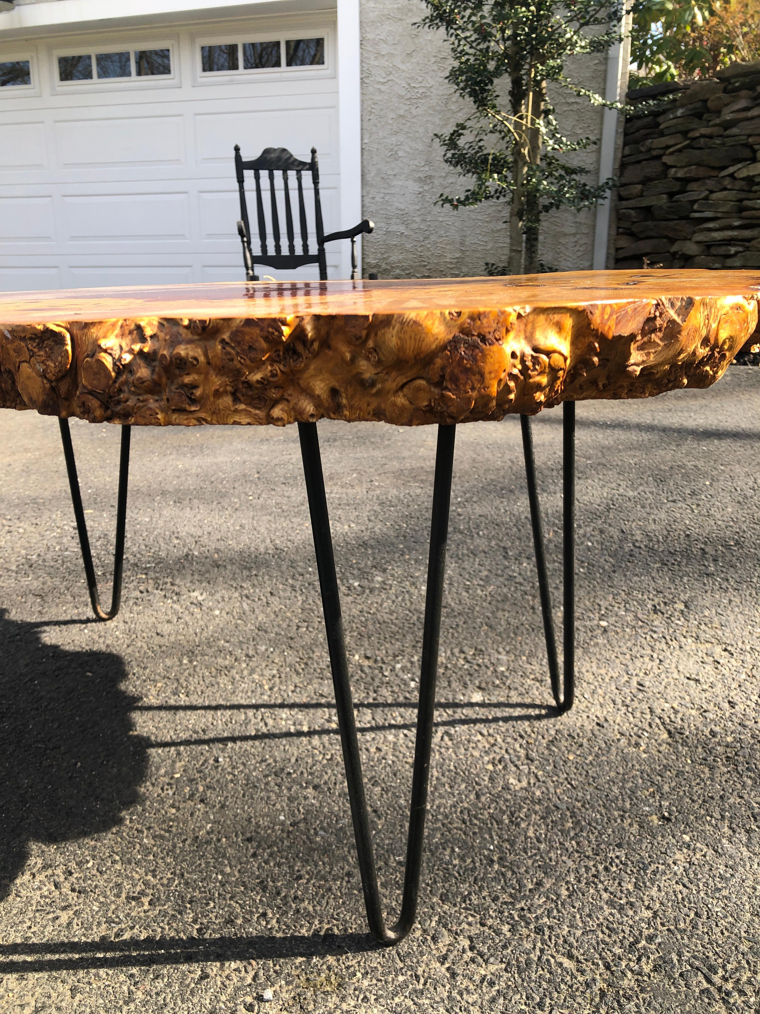 Brushed Live Edge English Burl Oak Hairpin Leg Coffee Table End Table, 1960 For Sale