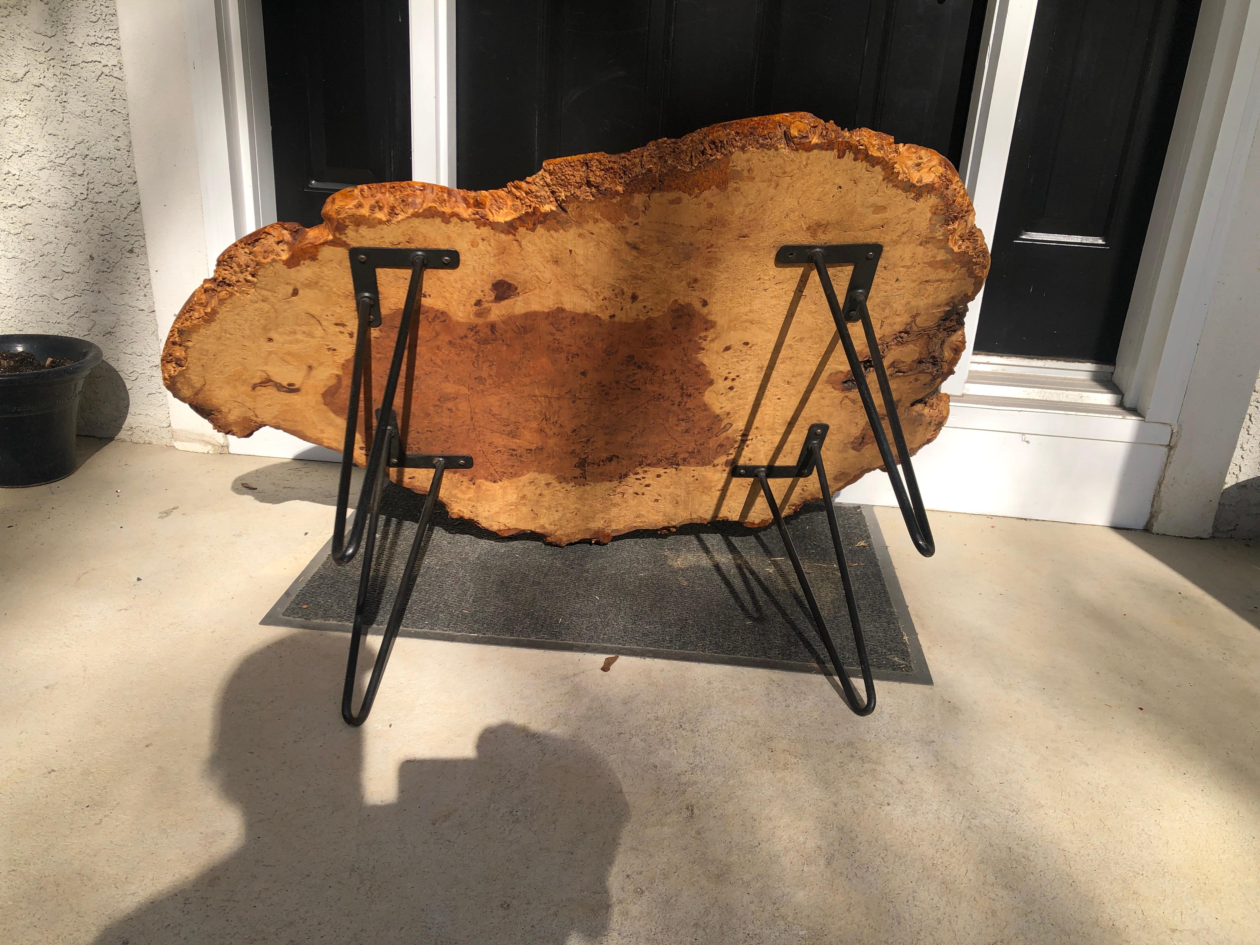 Mid-20th Century Live Edge English Burl Oak Hairpin Leg Coffee Table End Table, 1960 For Sale