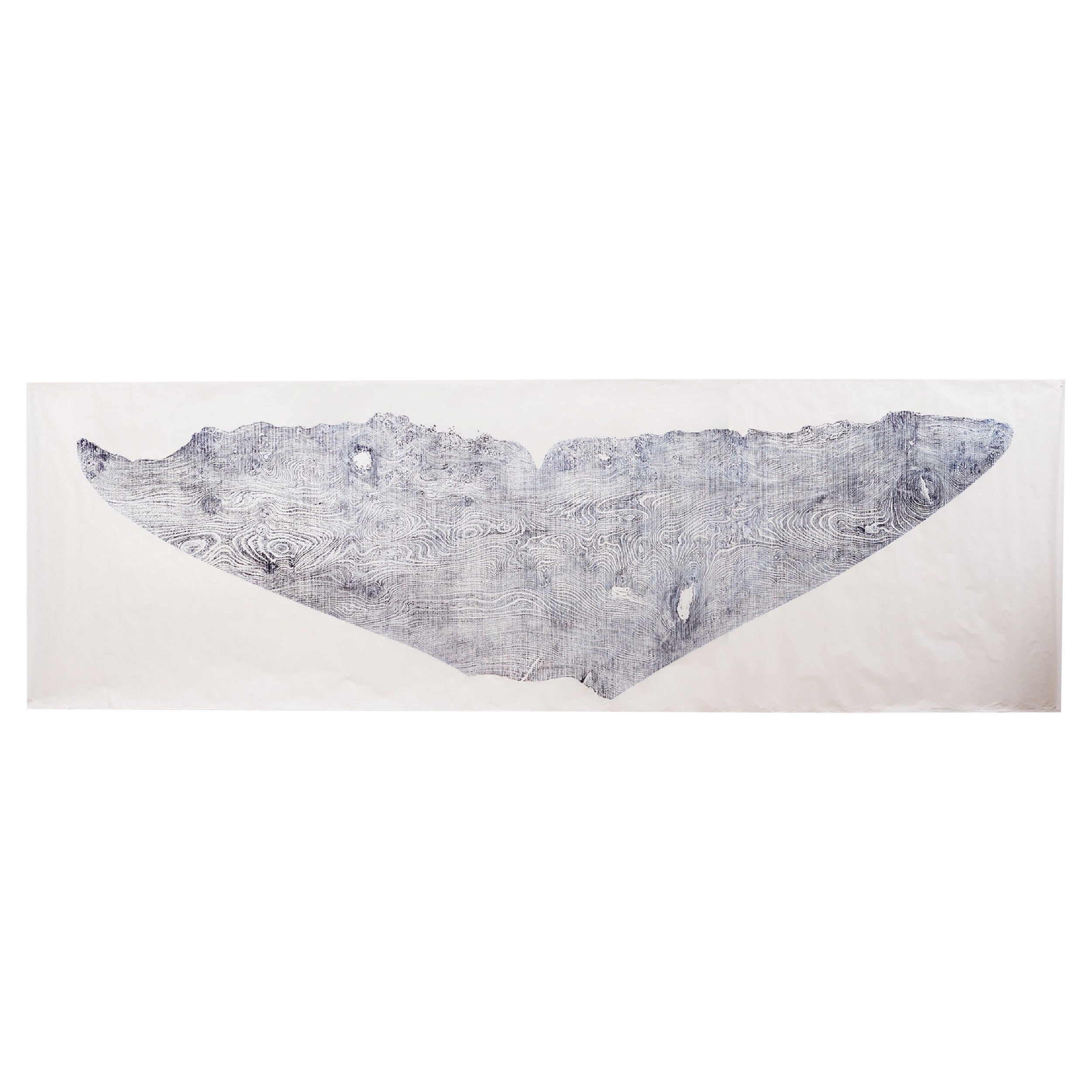 Live Edge Fluke