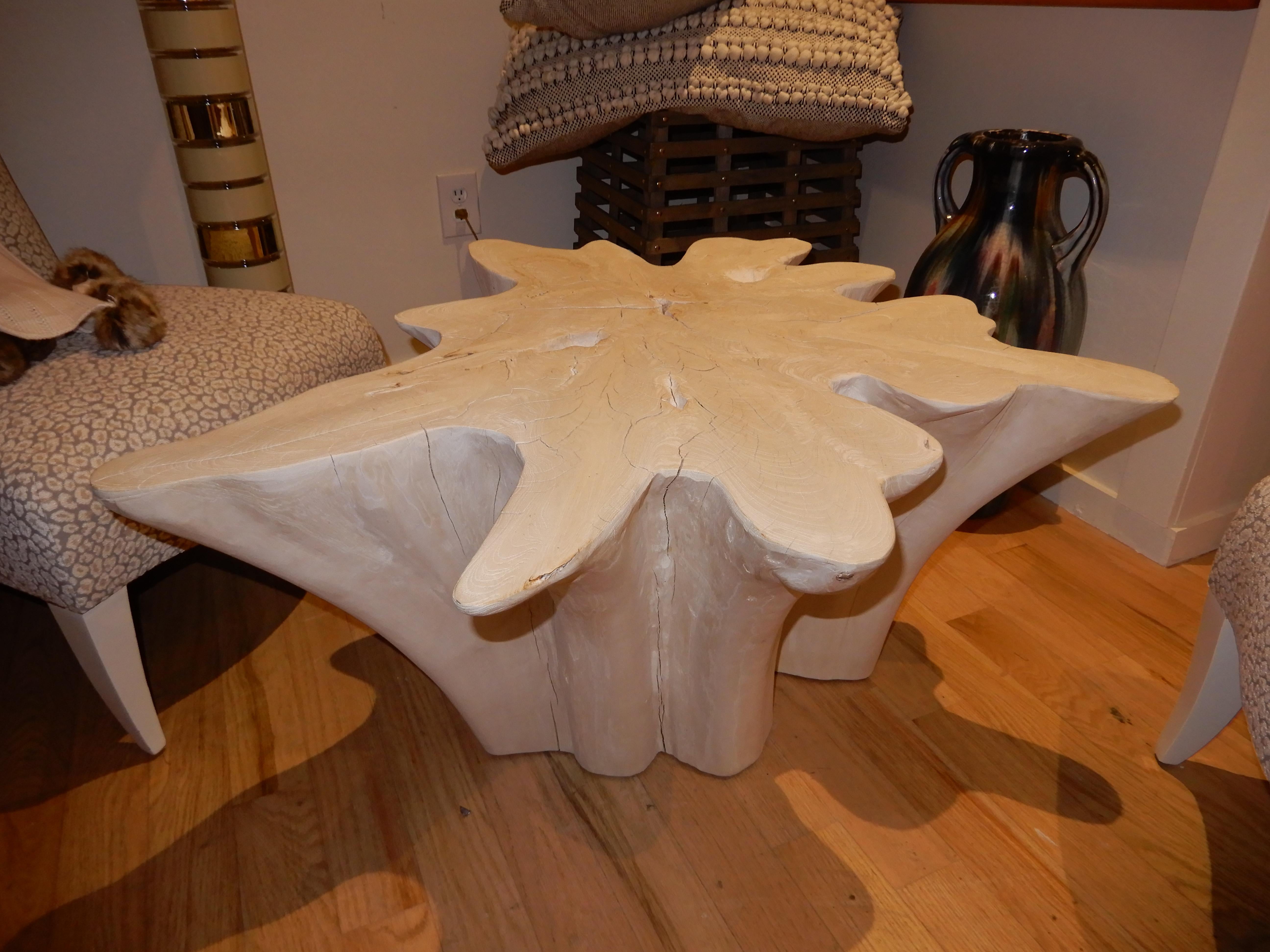 An exceptional Live Edge / Free Edge Bleached Teak Wood Root Coffee Table 4
