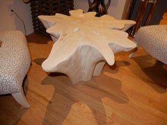An exceptional Live Edge / Free Edge Bleached Teak Wood Root Coffee Table