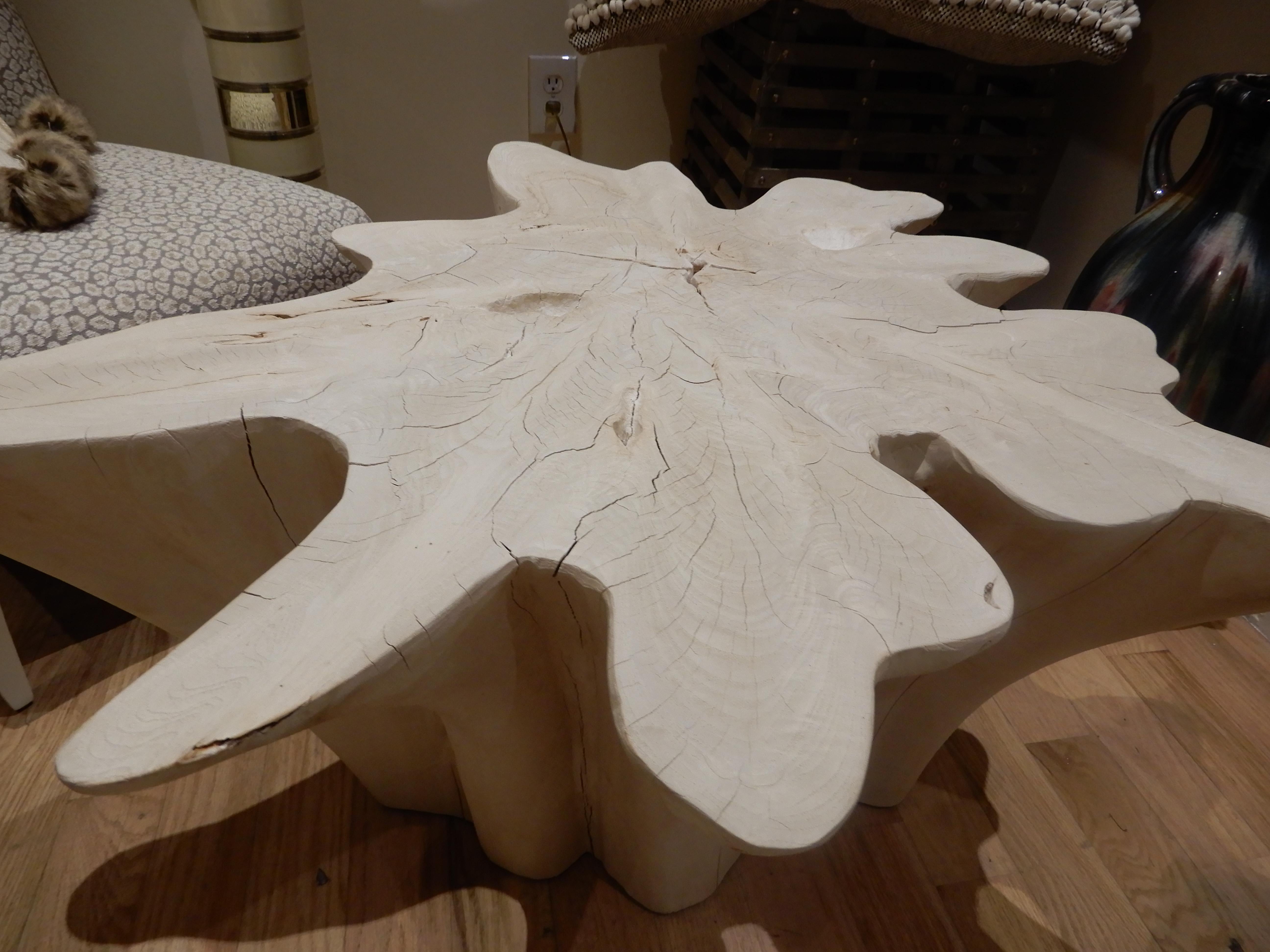 An exceptional Live Edge / Free Edge Bleached Teak Wood Root Coffee Table 1