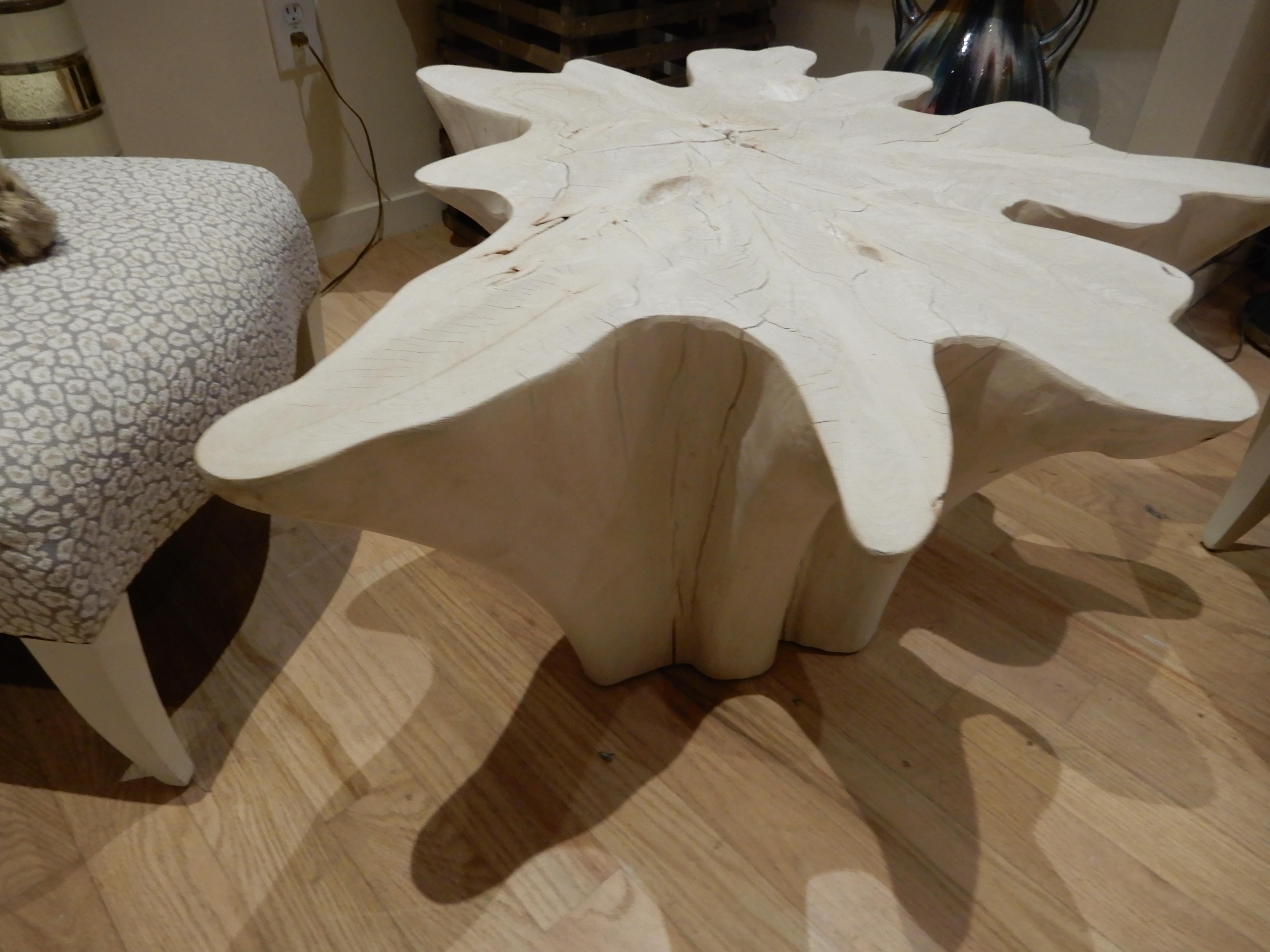 An exceptional Live Edge / Free Edge Bleached Teak Wood Root Coffee Table 3