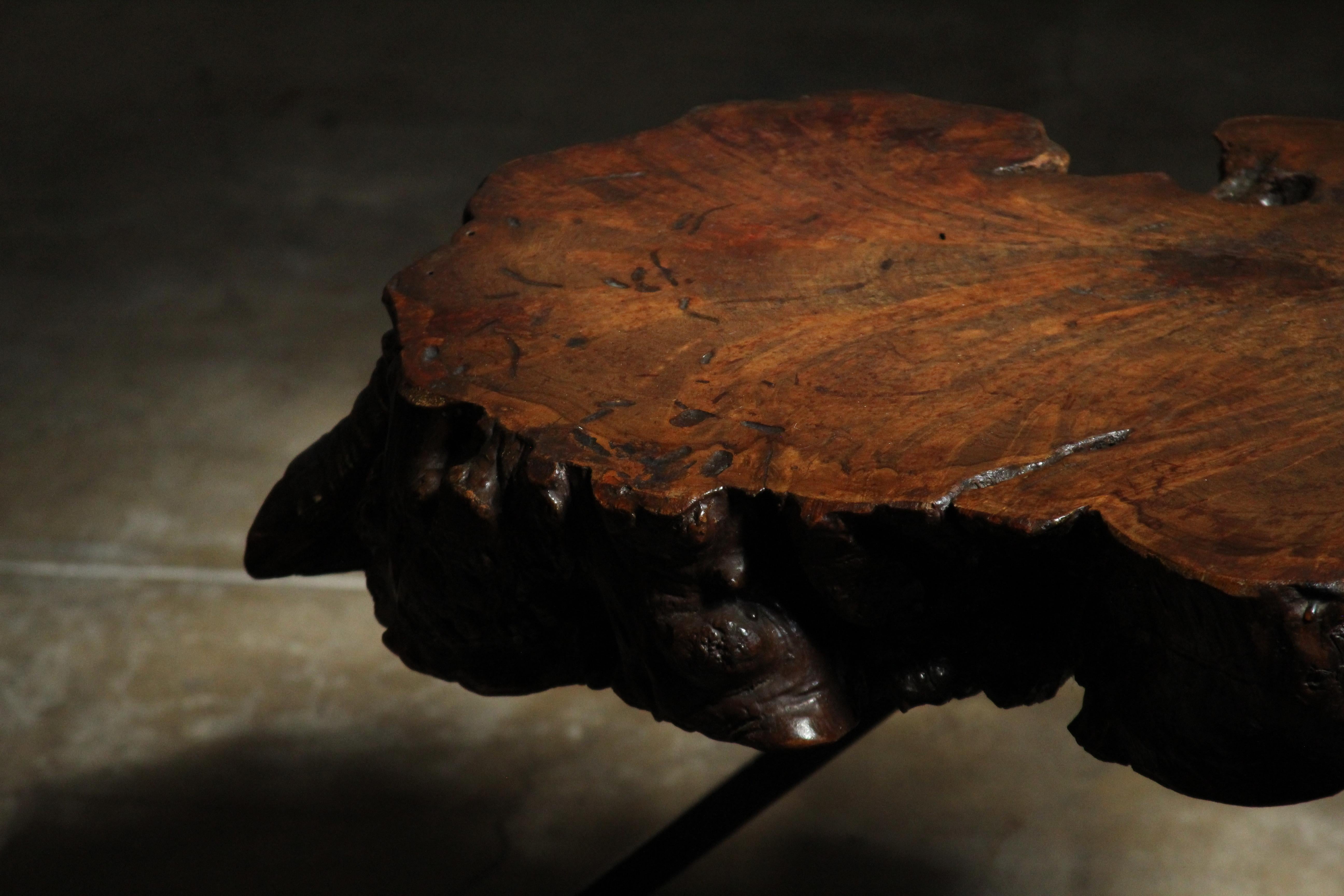 Live Edge Ironwood Coffee Table by Sabena of Mexico, 1960s For Sale 6