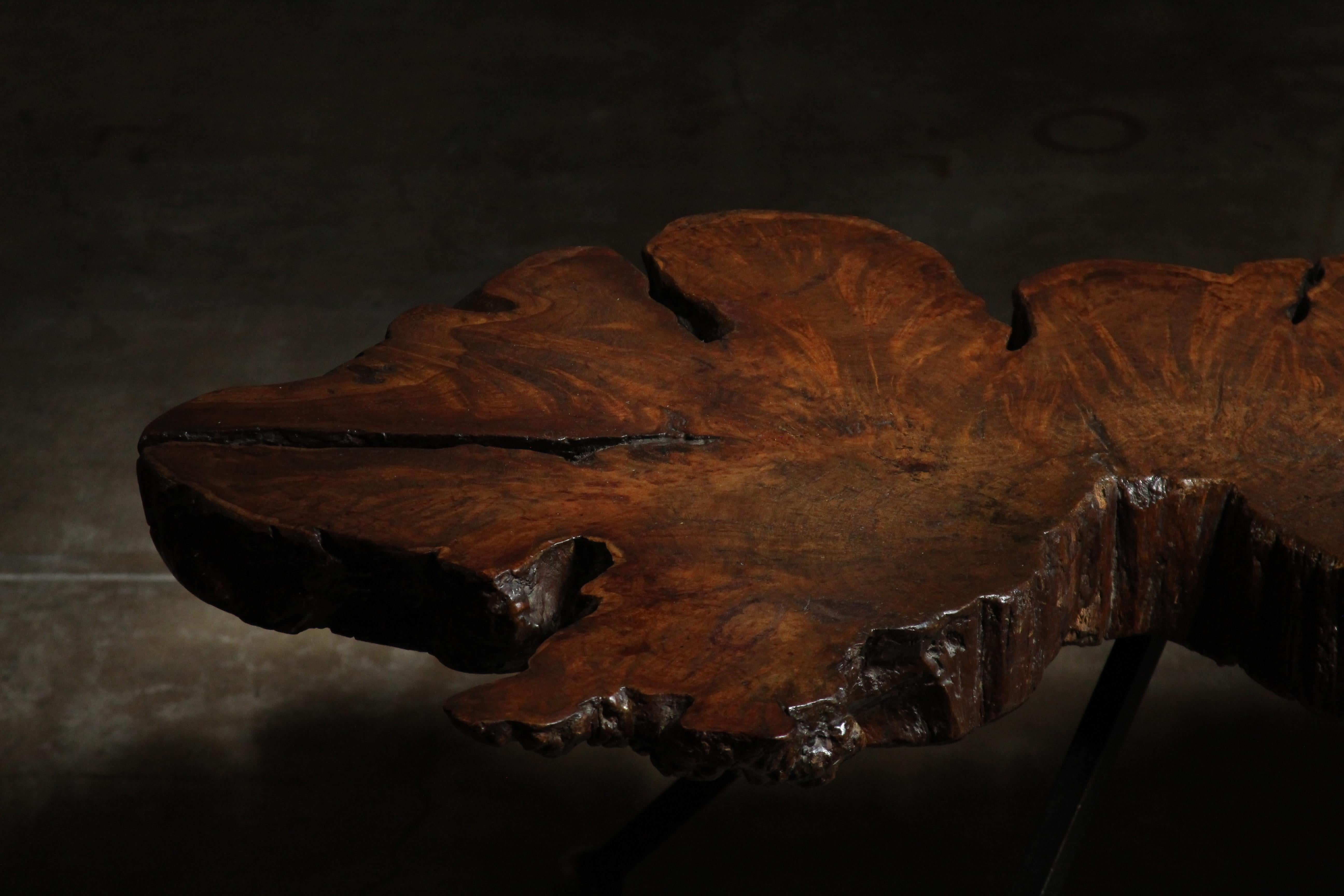 Mexican Live Edge Ironwood Coffee Table by Sabena of Mexico, 1960s For Sale
