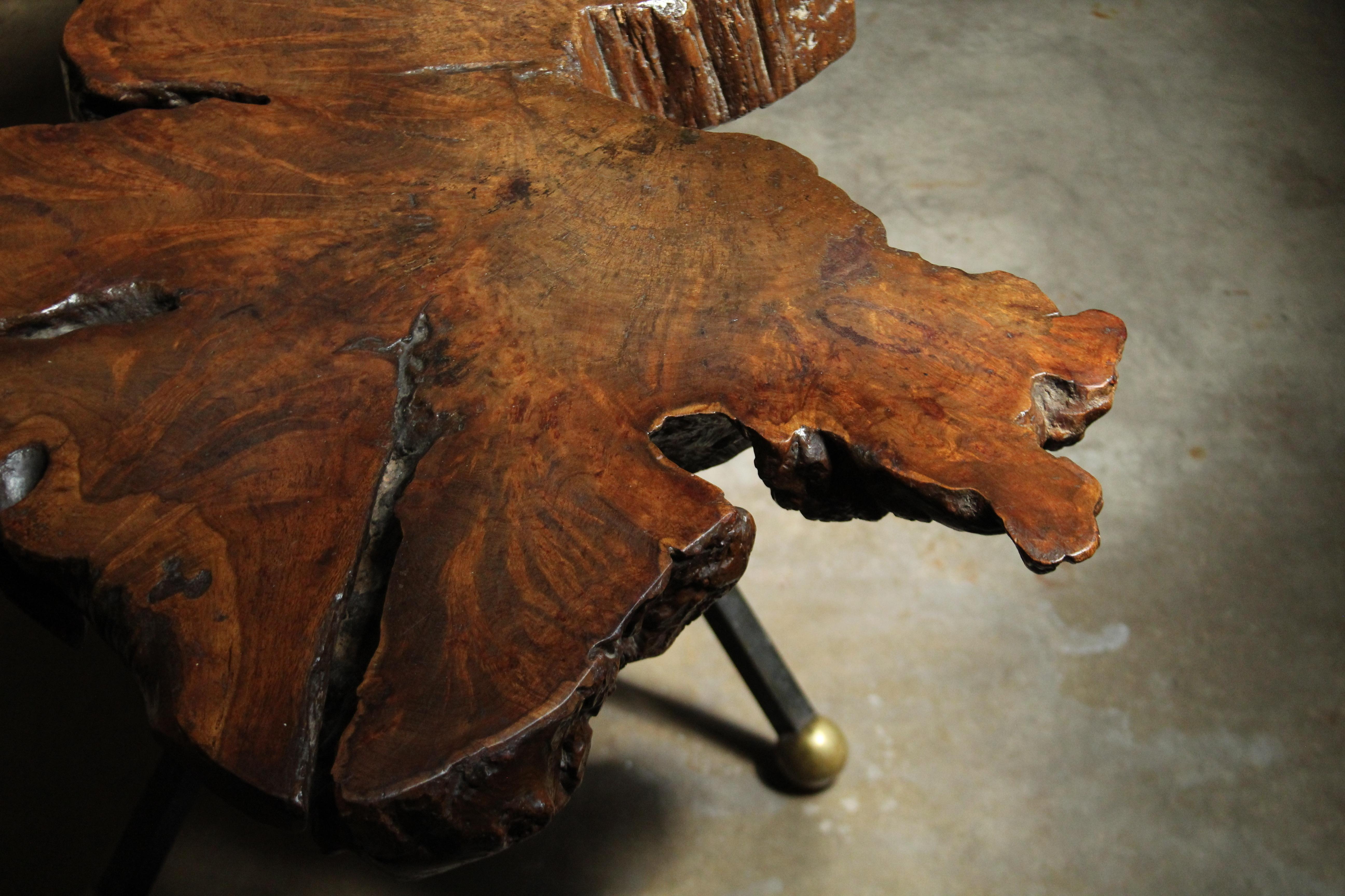 Brass Live Edge Ironwood Coffee Table by Sabena of Mexico, 1960s For Sale