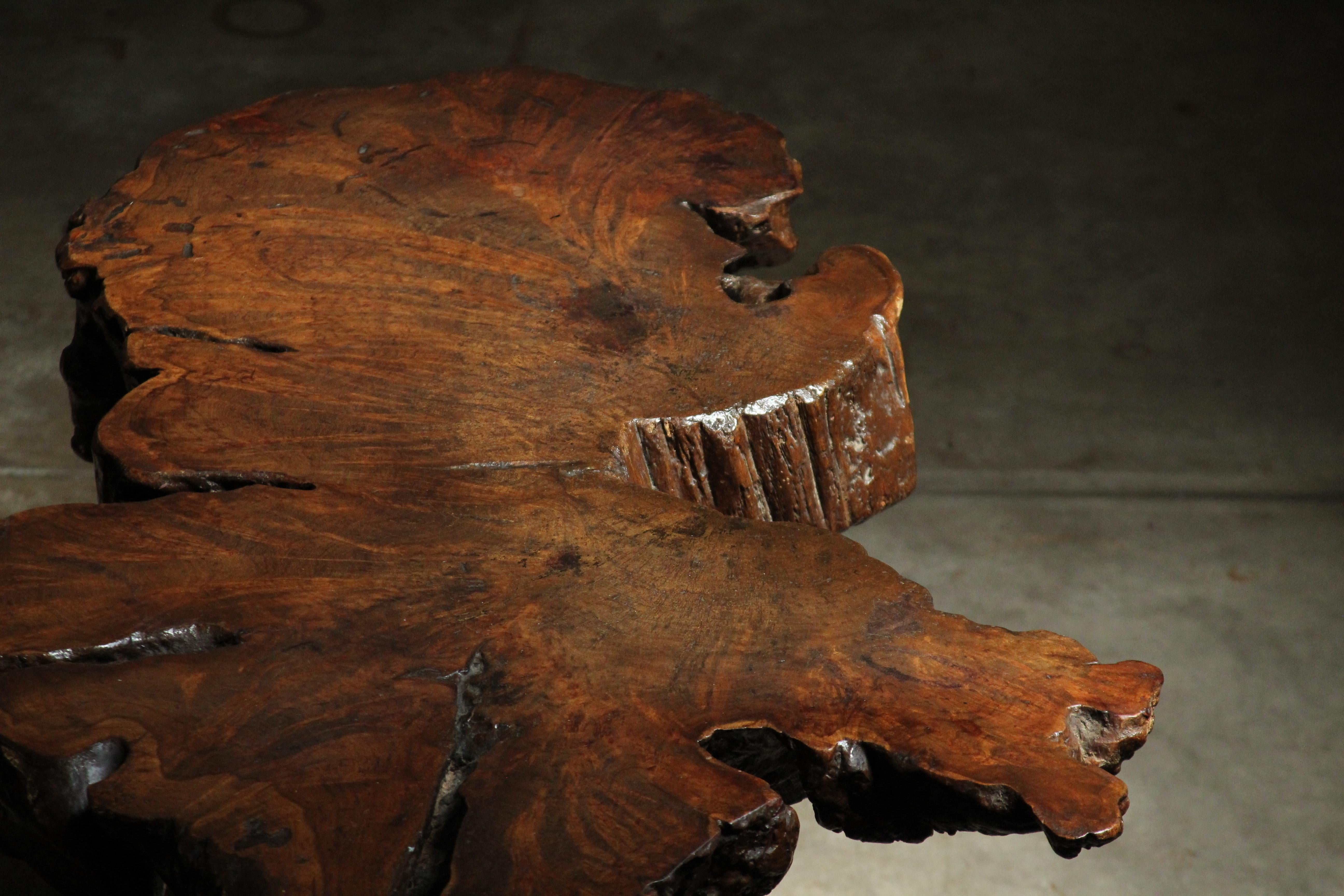 Live Edge Ironwood Coffee Table by Sabena of Mexico, 1960s For Sale 2