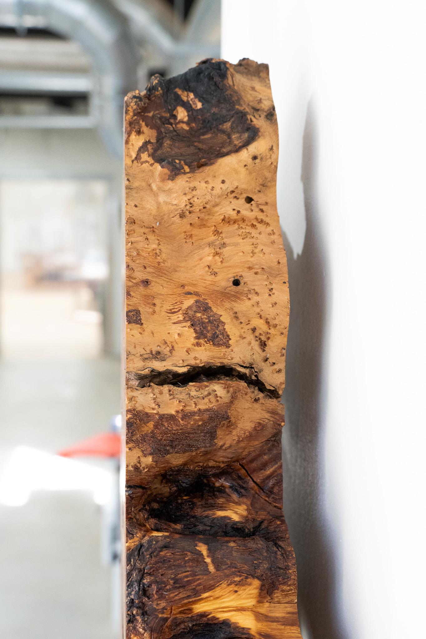 Hand-Carved Live Edge Olive Burl Wall Art