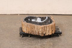 Live Edge Petrified Wood Sink, Black & Tan