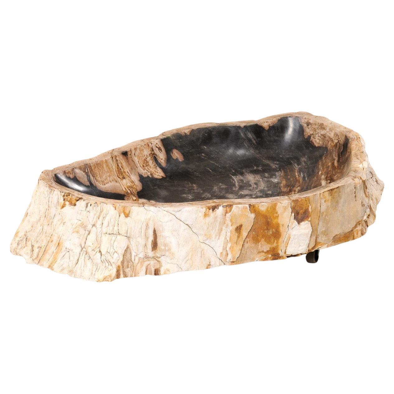 Évier en bois pétrifié à bords naturels, forme oblongue en vente