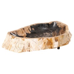 Waschbecken aus versteinertem Holz mit naturbelassener Kante, längliche Form
