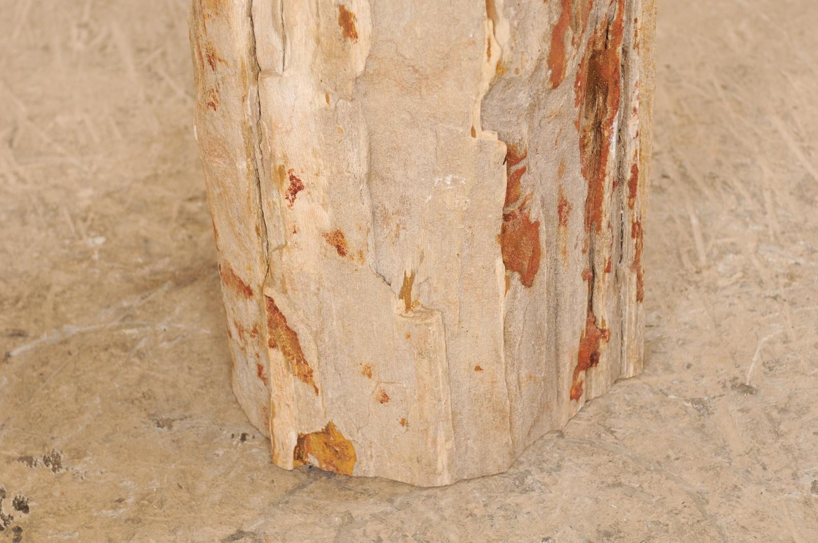 Live-Edge Petrified Wood Stool or Small Drinks Table For Sale 3