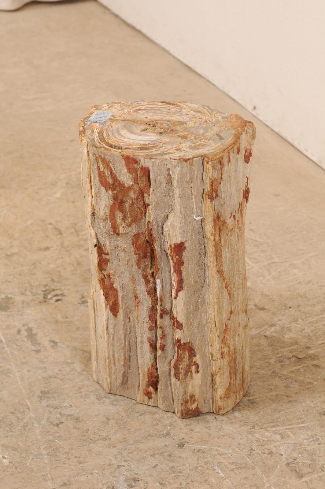 Live-Edge Petrified Wood Stool or Small Drinks Table For Sale 4