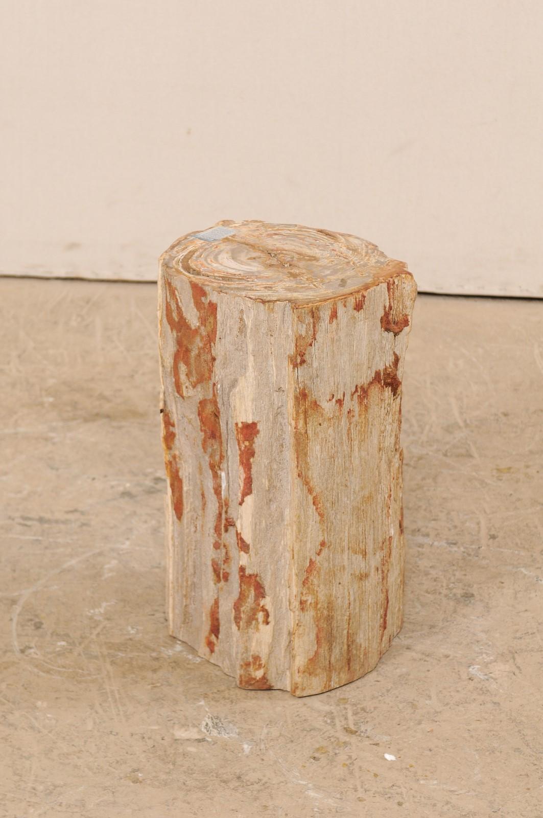 Ein einzelner Getränketisch (oder Hocker) aus versteinertem Holz. Dieser Sockeltisch aus versteinertem Holz hat eine glatt polierte Tischplatte und naturbelassene, scharfkantige Seiten. Die Farbpalette ist eine schöne Mischung aus Rost- und